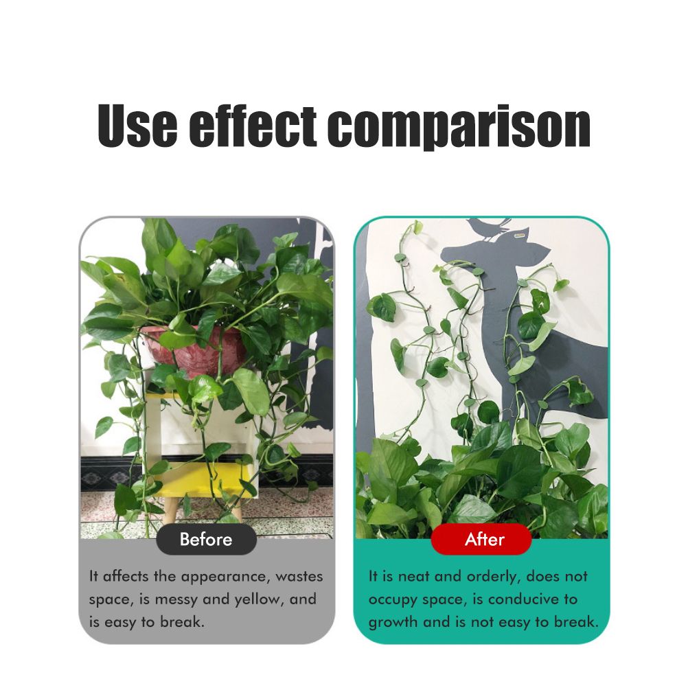 Pack of 50 Self Adhesive Plant Holders Plant Connector Clip Climbing Plants Fixing Wall Plant Clips for Supports Planting - Image 4
