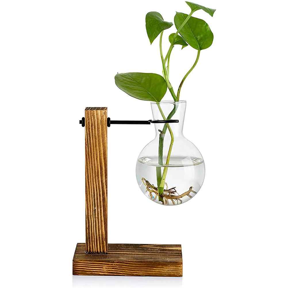 Transparent Vase Desktop Wooden Stand Glass Clear Plant Vase for Home Table Desk Interior Decoration - Image 1