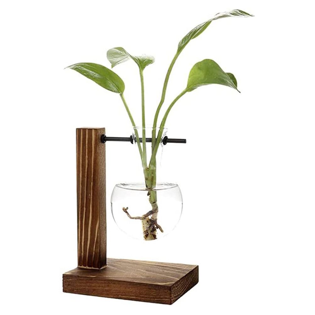 Transparent Vase Desktop Wooden Stand Glass Clear Plant Vase for Home Table Desk Interior Decoration - Image 4