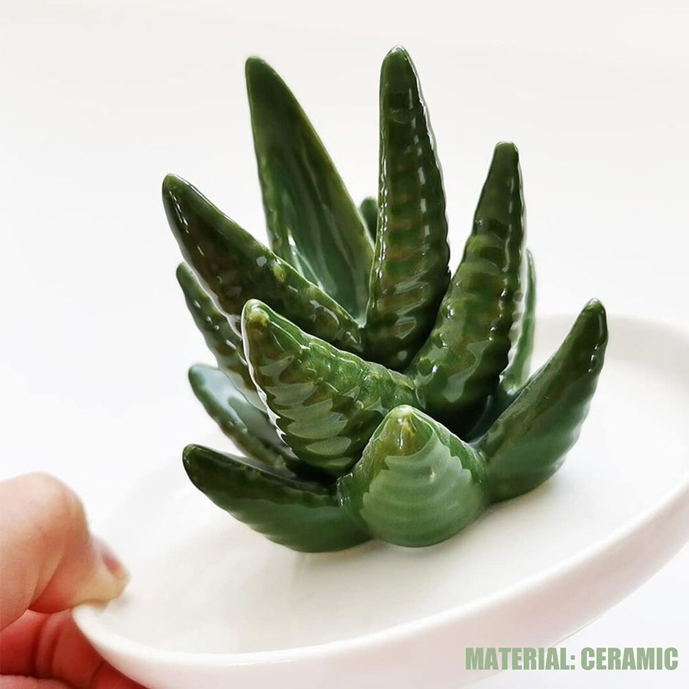 Ceramic Ring Holder Aloe Ring Dish Jewelry Holder Rings Bracelets Earrings Green Succulent Trinket Tray Gift for Women Girls - Image 3