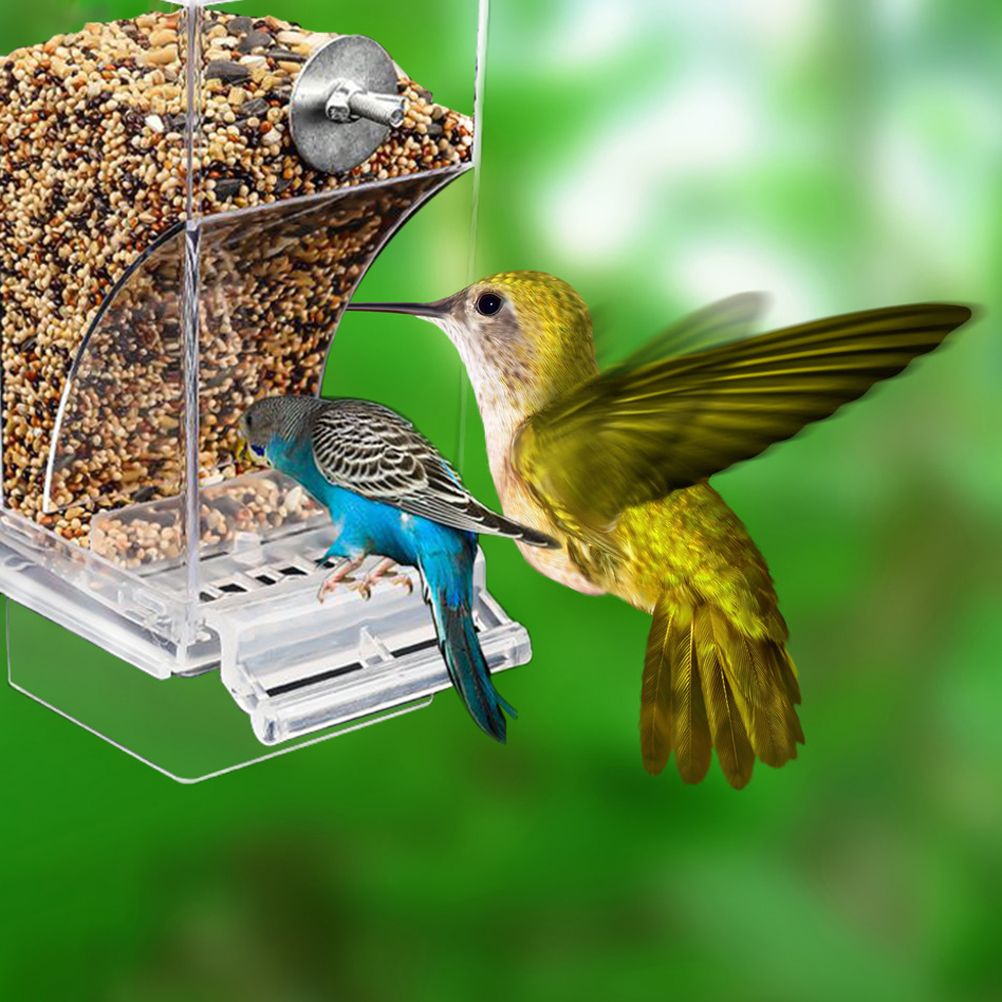 Bird Automatic Feeder Splash Proof Bird Feeder Bird Cage Accessories Bird Food Container for Parakeet Canary Cockatiel Finch - Image 7