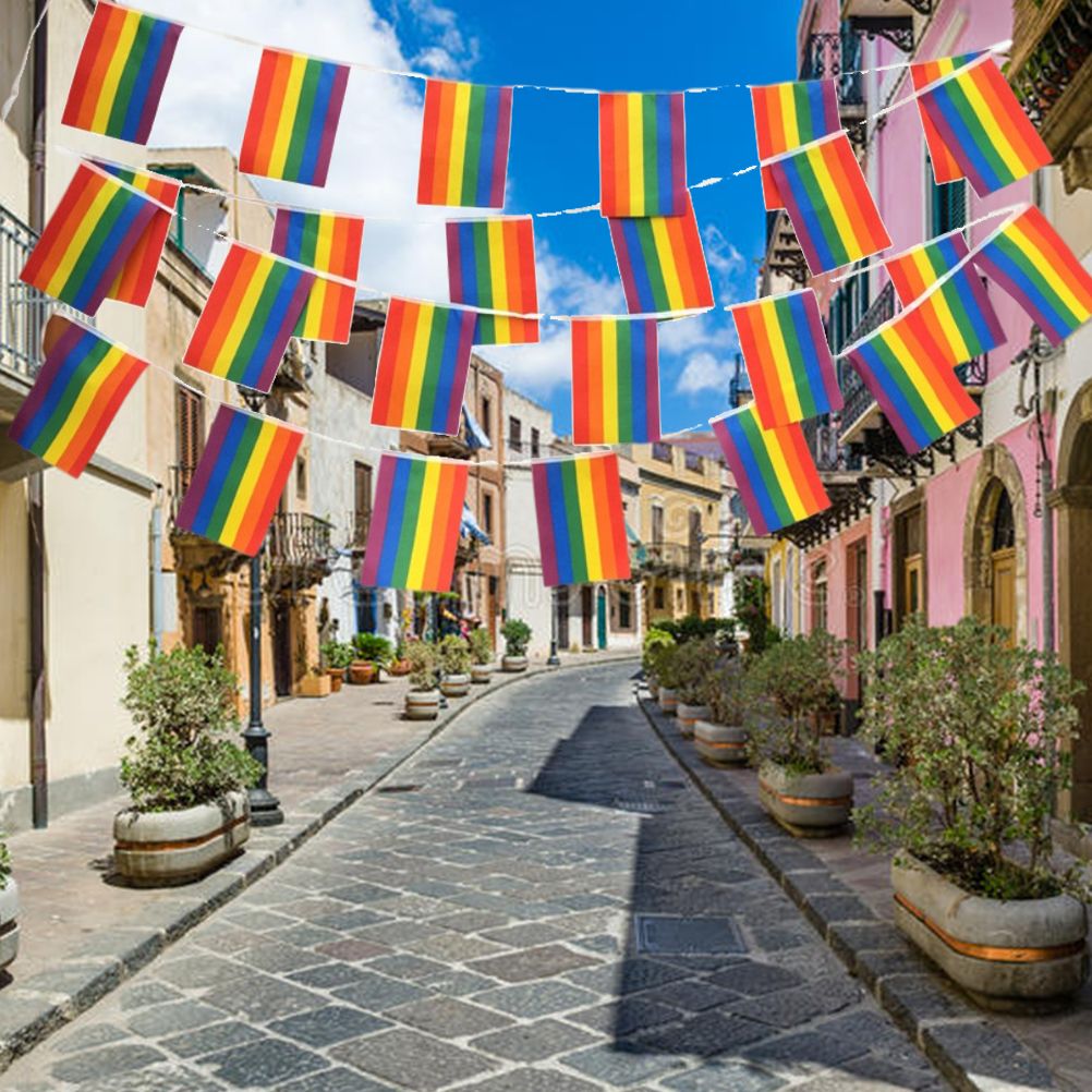 Rainbow Flag LGBT Pride String Flag Hanging Gay Lesbian Banners Bunting Flags Small Rainbow Flag Parade Festival Party Decorations - Image 4