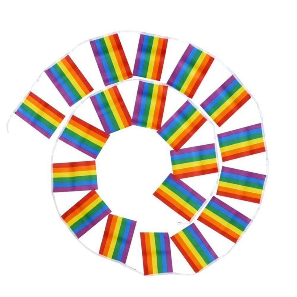 Rainbow Flag LGBT Pride String Flag Hanging Gay Lesbian Banners Bunting Flags Small Rainbow Flag Parade Festival Party Decorations - Image 6