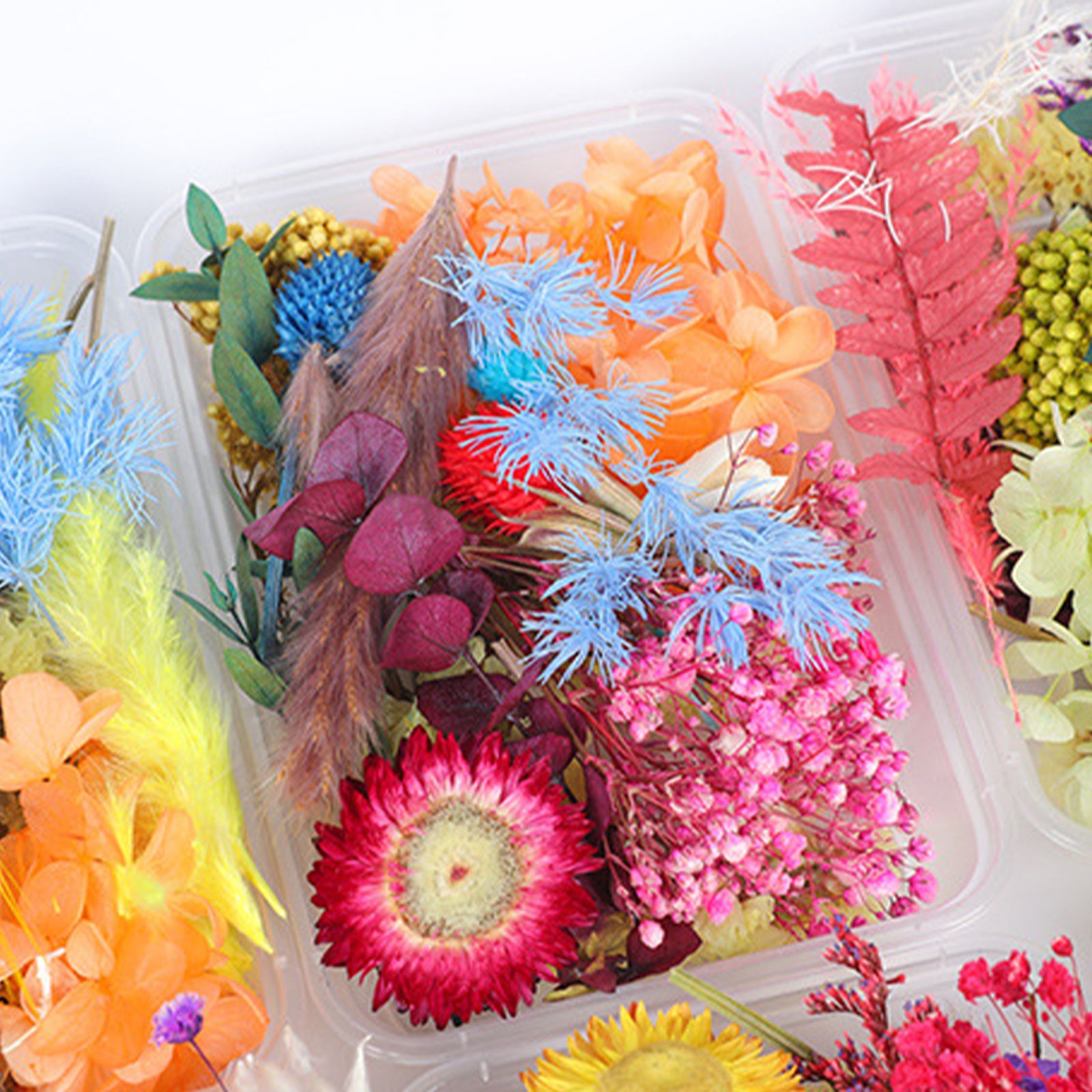 Dried Flower DIY Accessories Set - Image 2