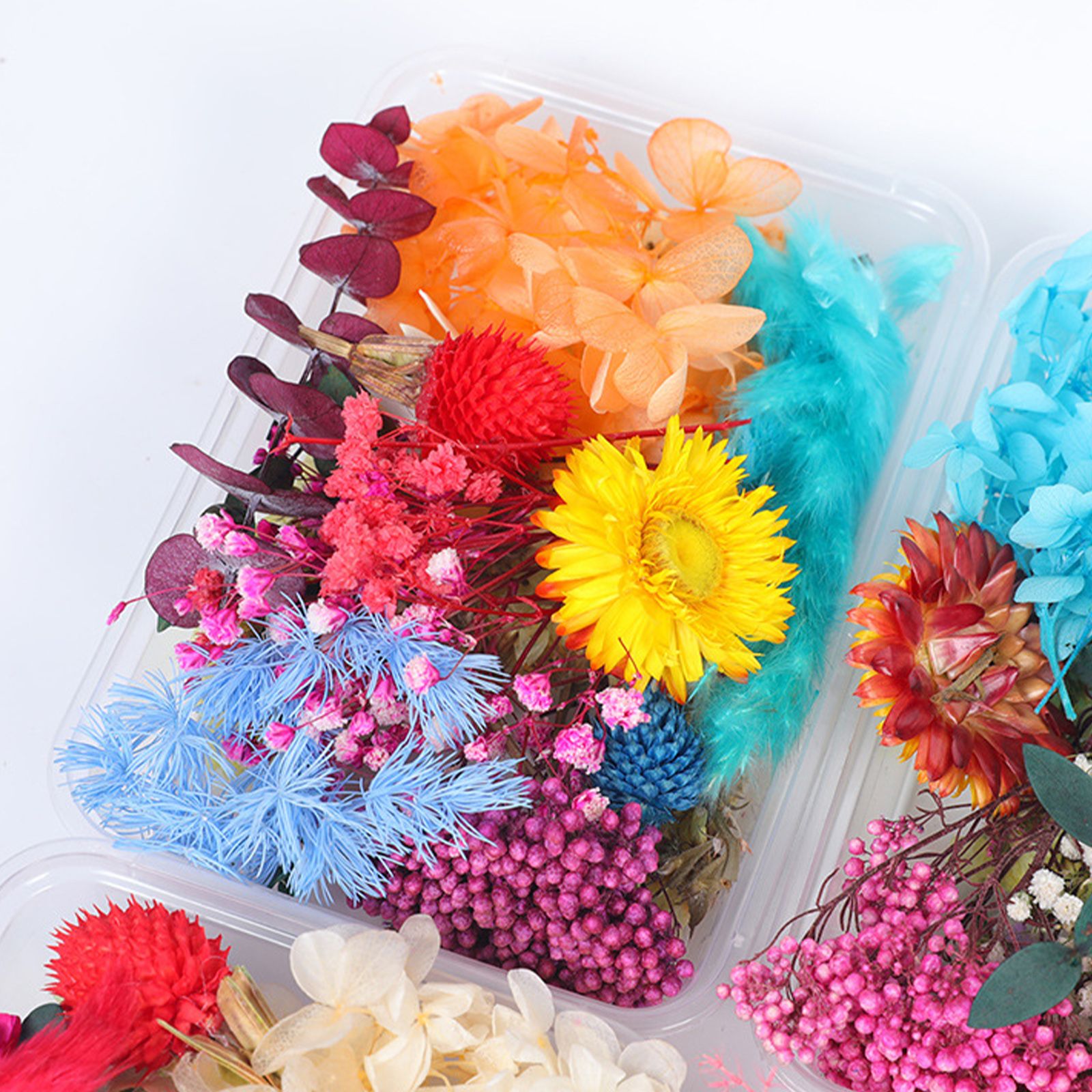 Dried Flower DIY Accessories Set - Image 3