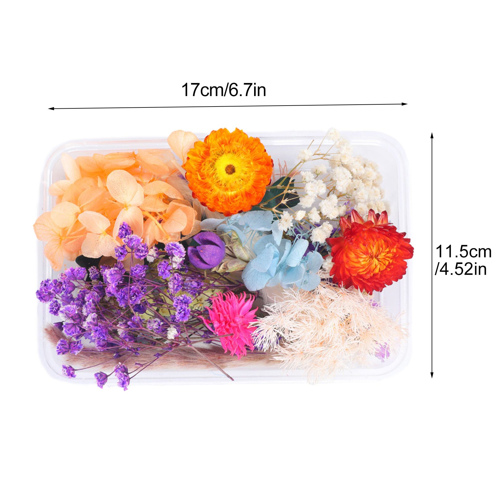 Dried Flower DIY Accessories Set - Image 7