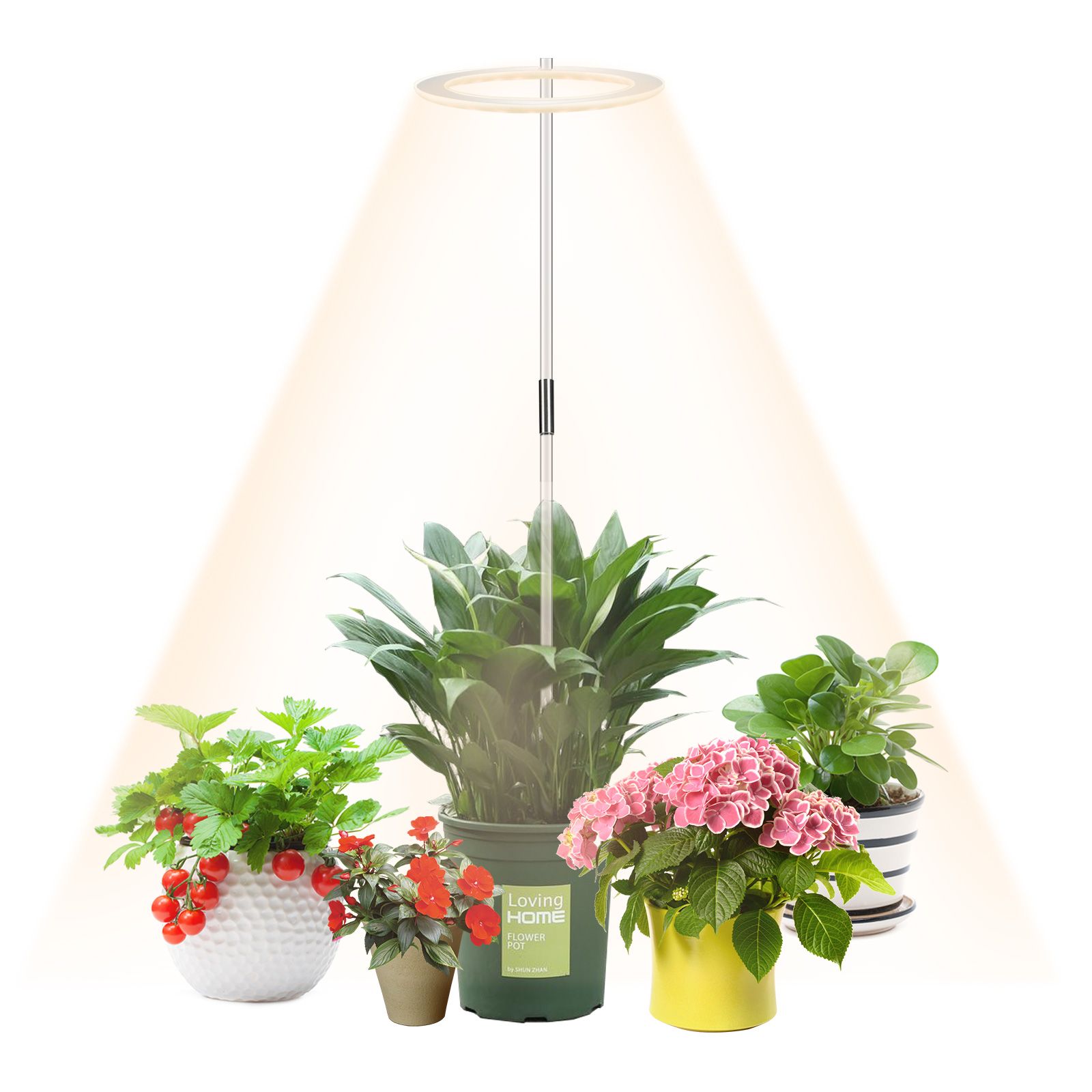 LED Plant Growing Lamp Full Spectrum Indoor Sunlight Plants Growth Lamp for Indoor Plant Veg Flower - Image 3