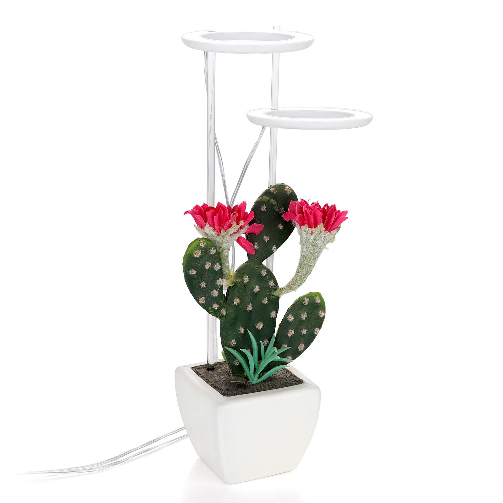 LED Plant Grow Light 5 Dimmable Modes Timing USB LED Plant Lamp for Succulents Potted Plants - Image 3