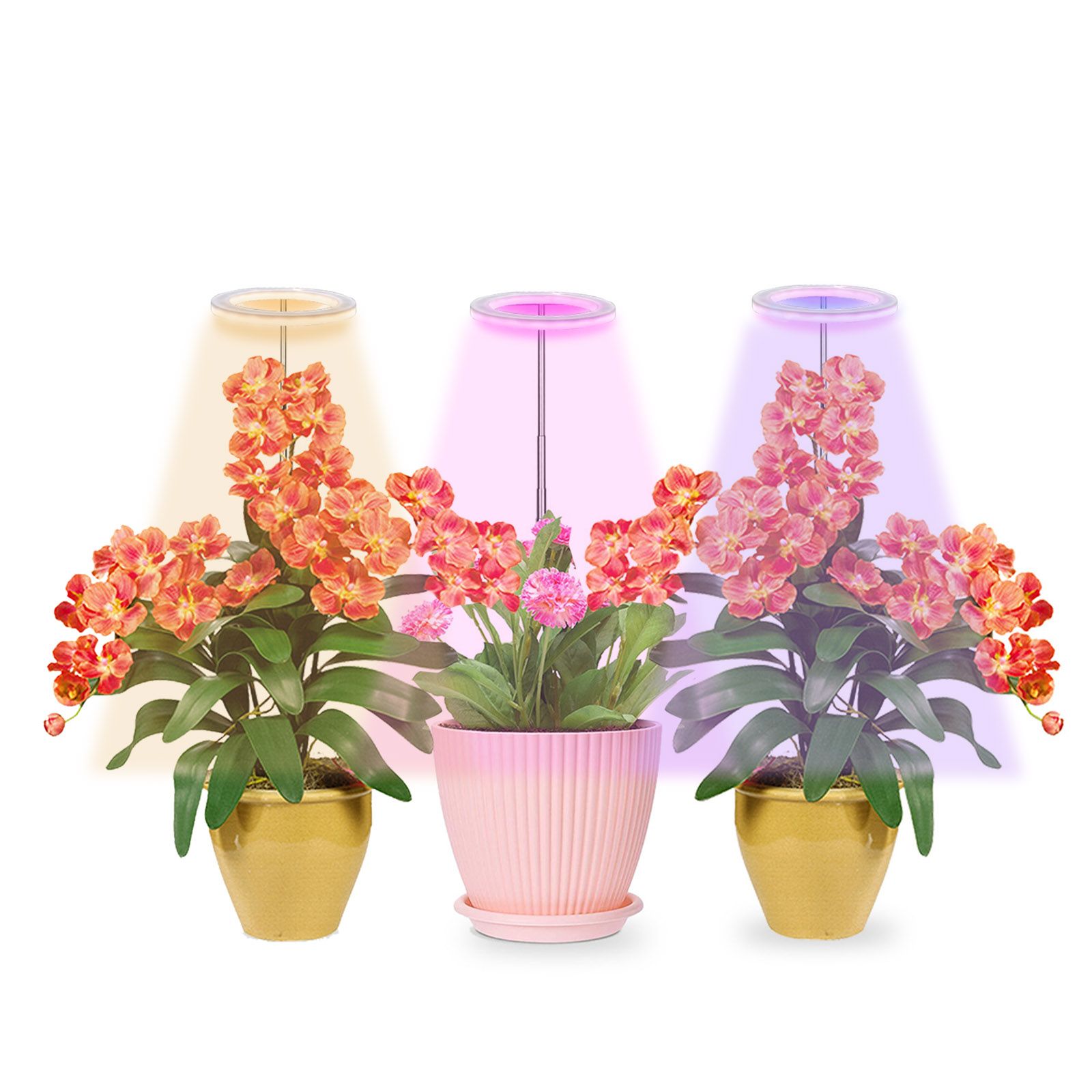 LED Plant Grow Light 5 Dimmable Modes 3 Head Timing USB Plant Lamp for Potted Plants Greenhouse Vegetables - Image 2