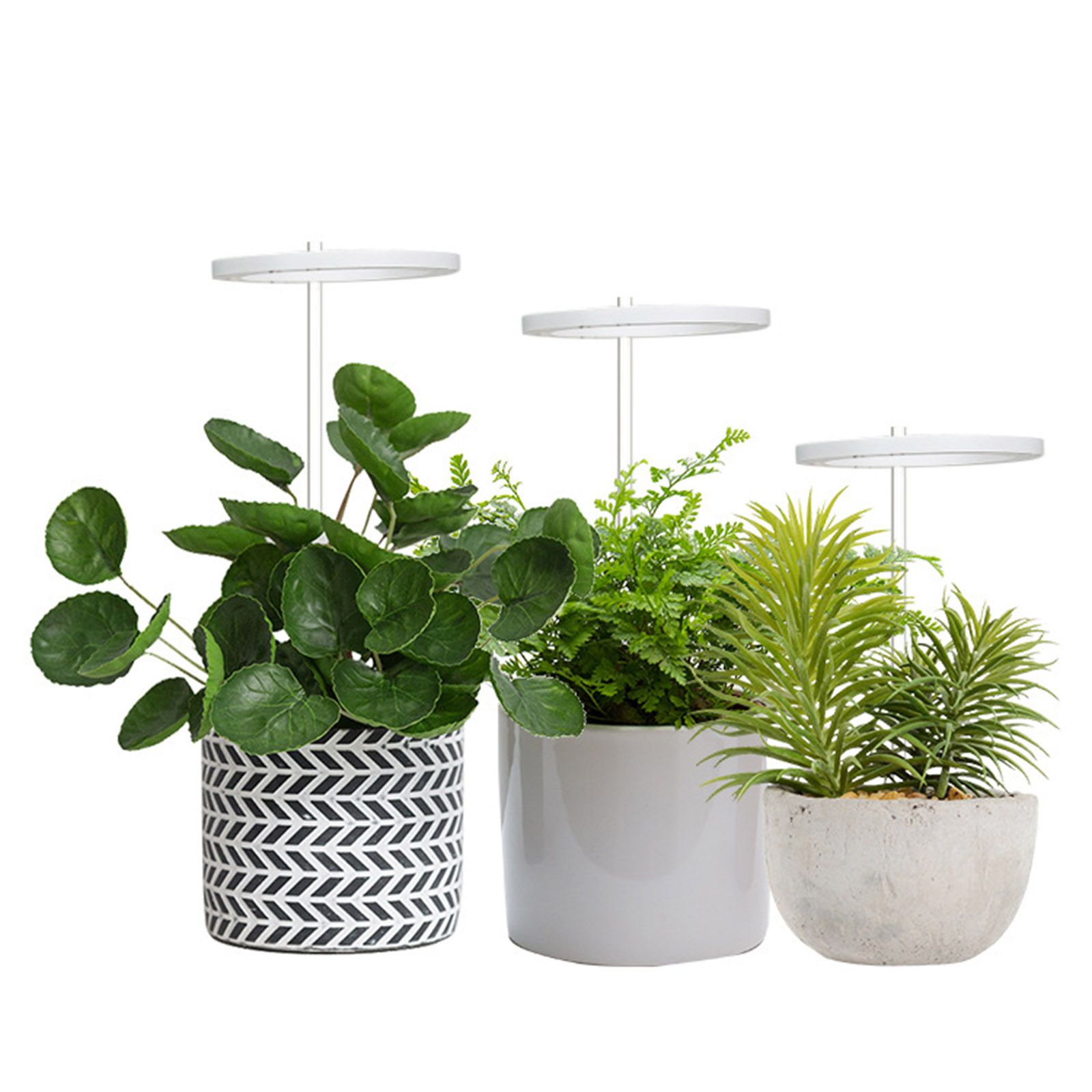 LED Plant Grow Light 5 Dimmable Modes 3 Head Timing USB Plant Lamp for Potted Plants Greenhouse Vegetables - Image 6
