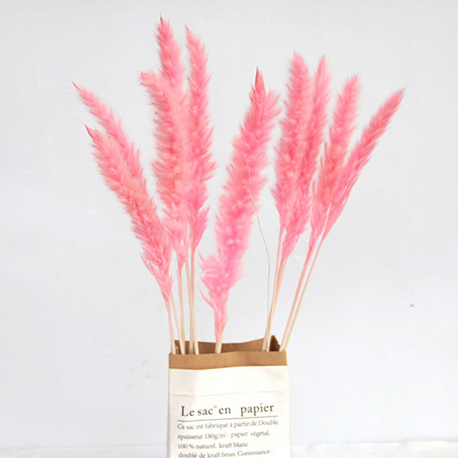 Dried Pampas Grass Natural Reed Dried Flowers Dried Pampas Grass Flowers Bouquet for Boho Home Decor - Image 3
