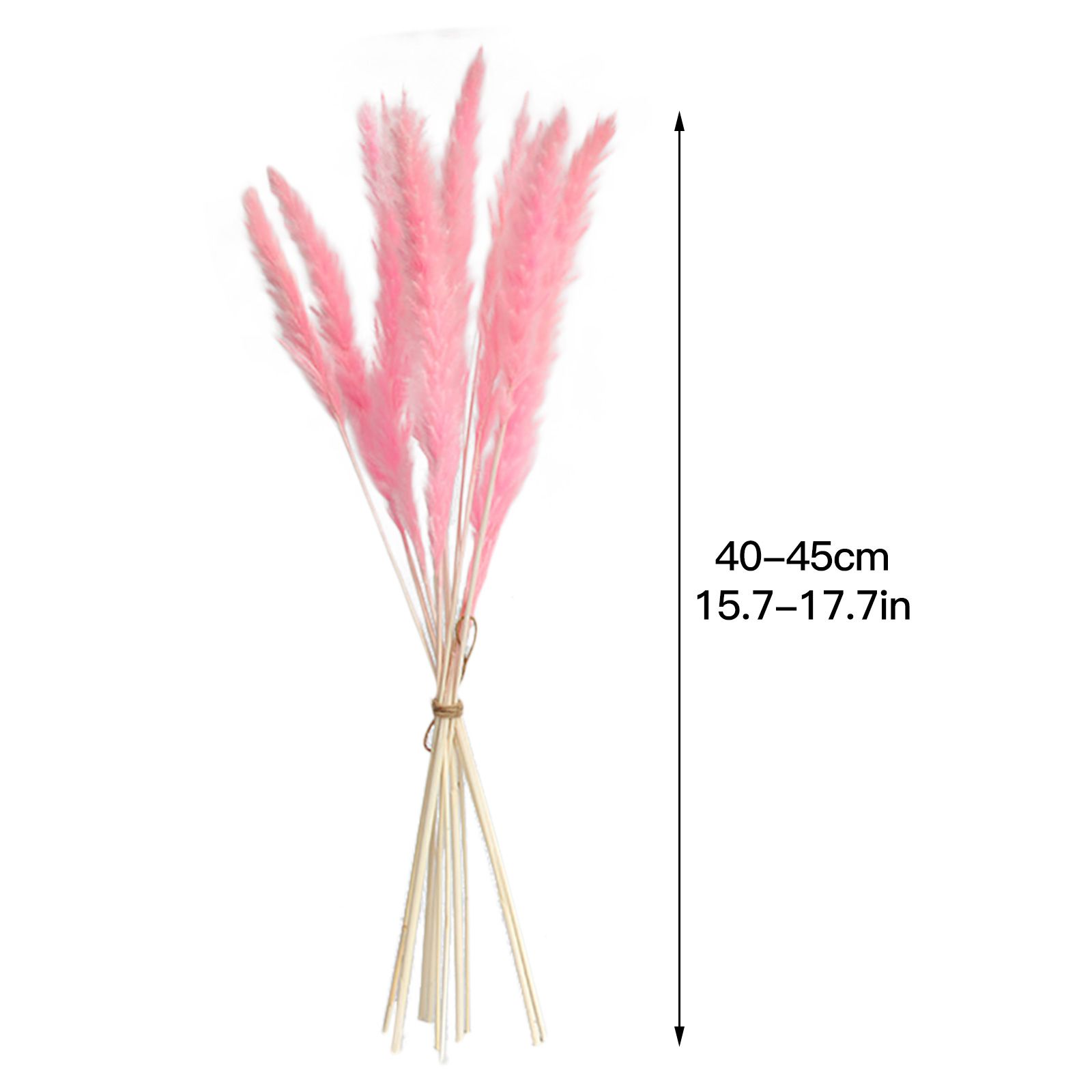 Dried Pampas Grass Natural Reed Dried Flowers Dried Pampas Grass Flowers Bouquet for Boho Home Decor - Image 6
