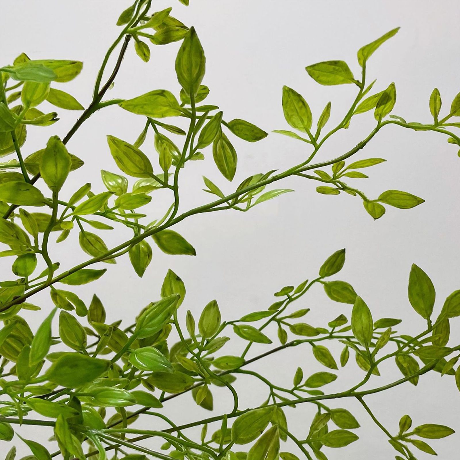 Artificial Green Plant Nandina Simulation Plant Branch Home Decoration - Image 4