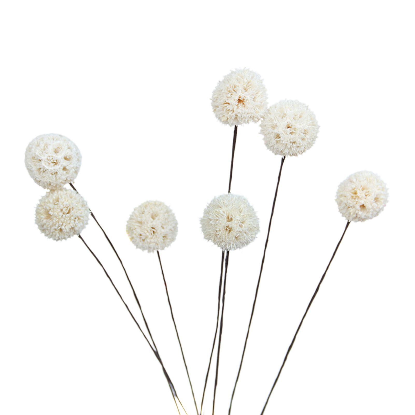 Billy Ball Flowers Dried Flowers Artificial Dried Flowers Home Garden Decoration - Image 1