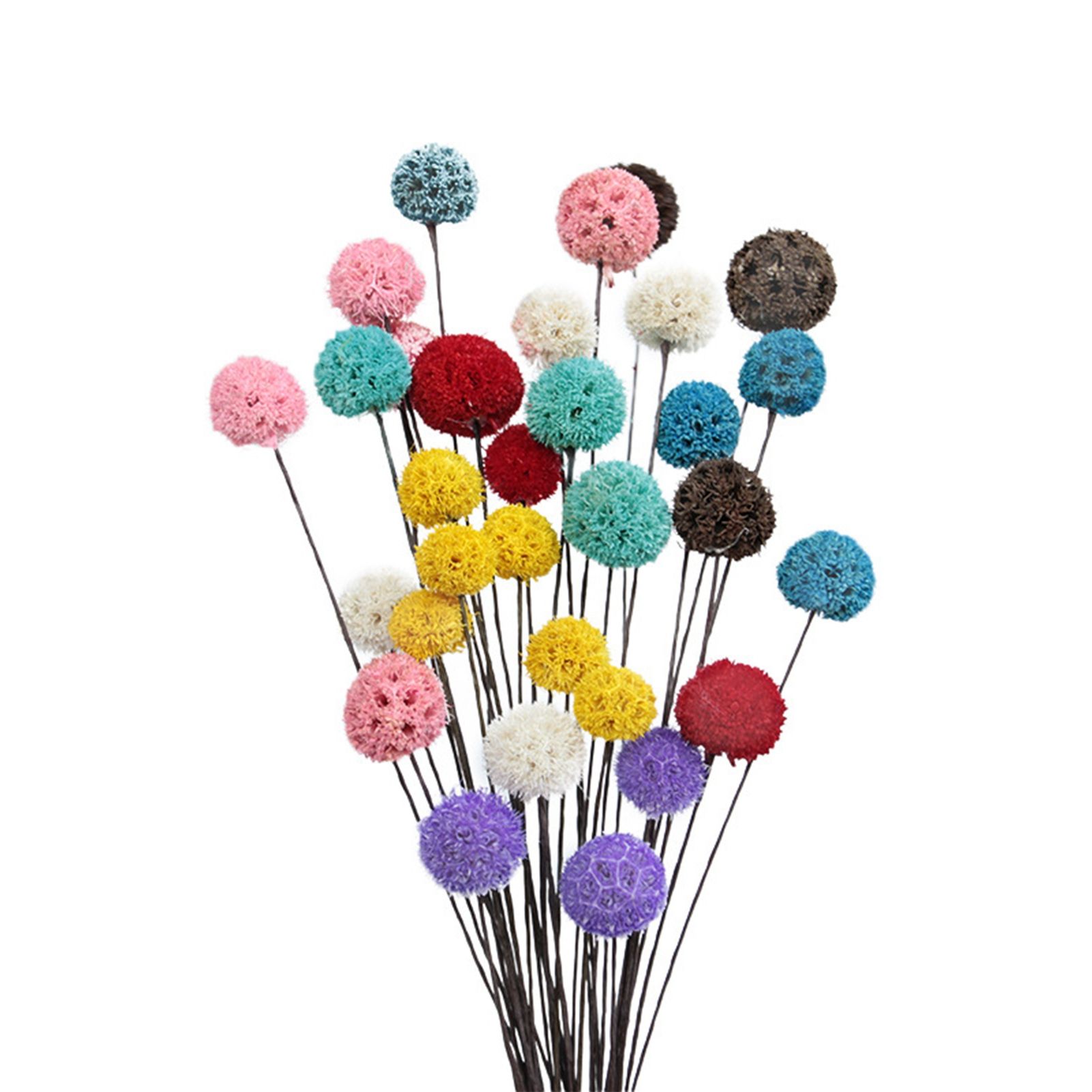 Billy Ball Flowers Dried Flowers Artificial Dried Flowers Home Garden Decoration - Image 2