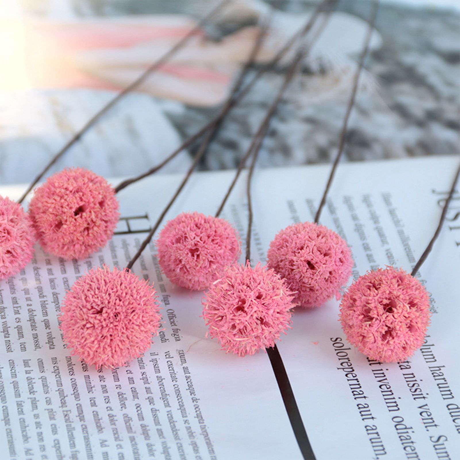 Billy Ball Flowers Dried Flowers Artificial Dried Flowers Home Garden Decoration - Image 3