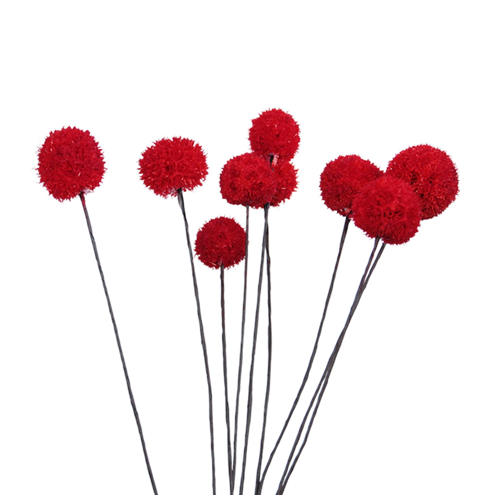 Billy Ball Flowers Dried Flowers Artificial Dried Flowers Home Garden Decoration - Image 1