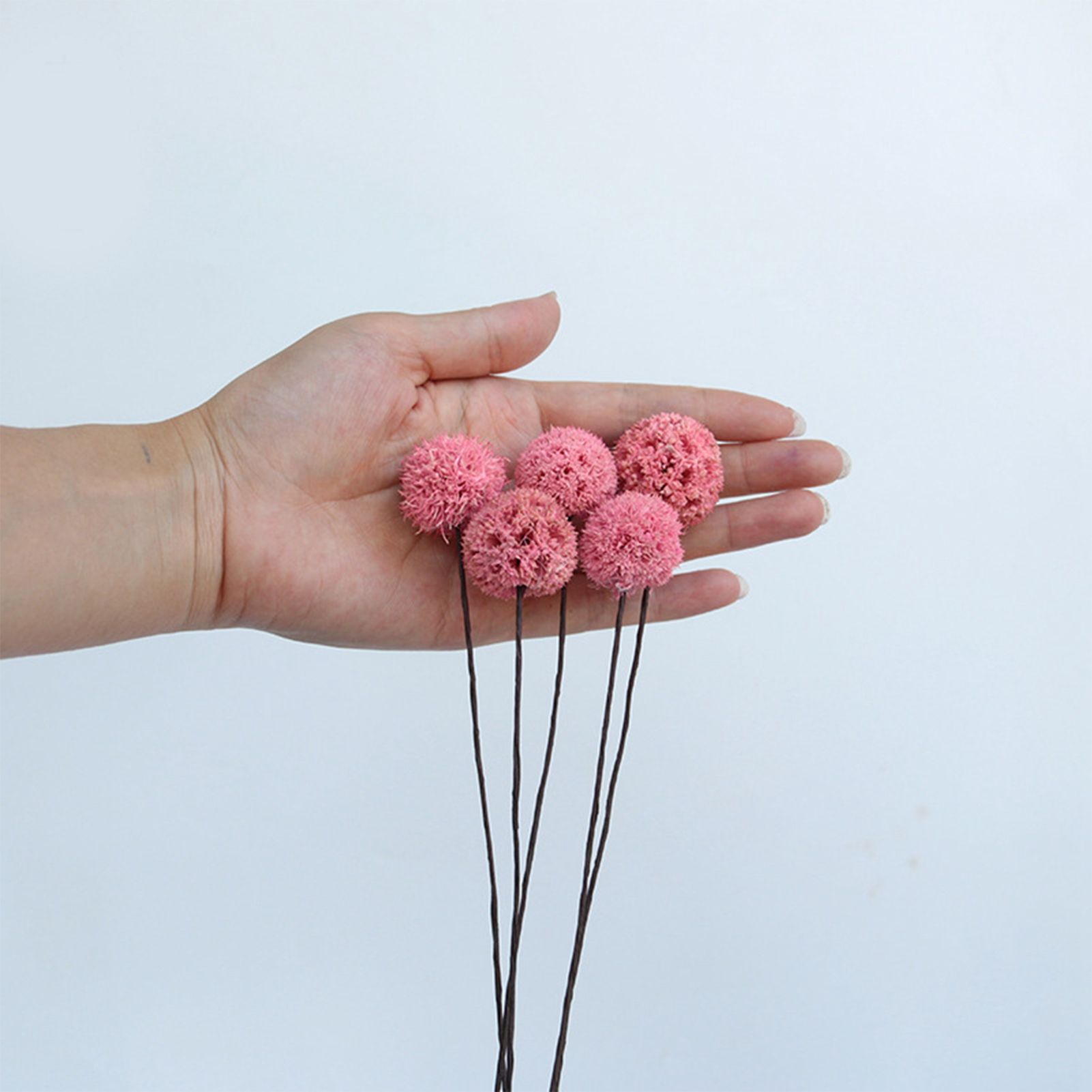 Billy Ball Flowers Dried Flowers Artificial Dried Flowers Home Garden Decoration - Image 4