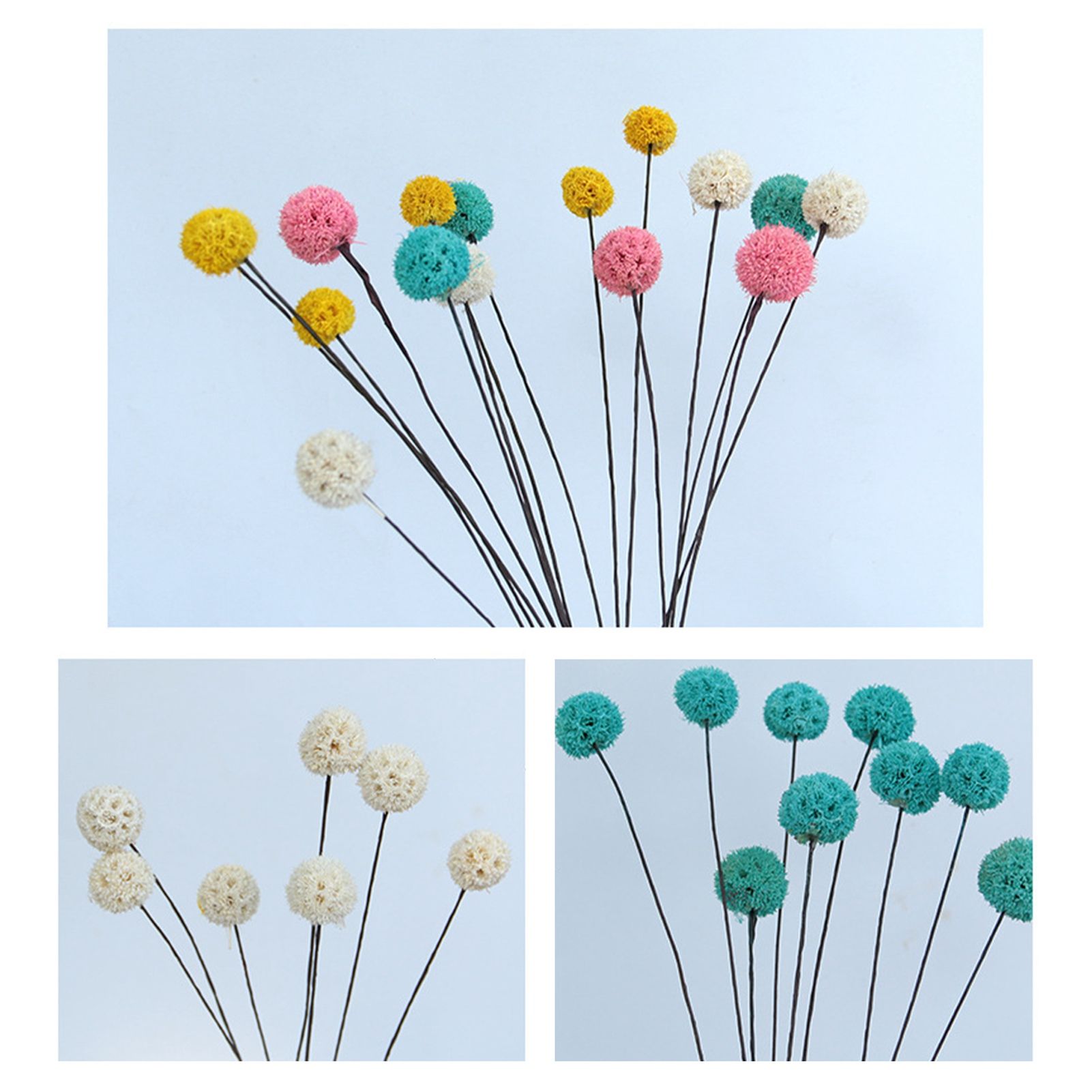 Billy Ball Flowers Dried Flowers Artificial Dried Flowers Home Garden Decoration - Image 5