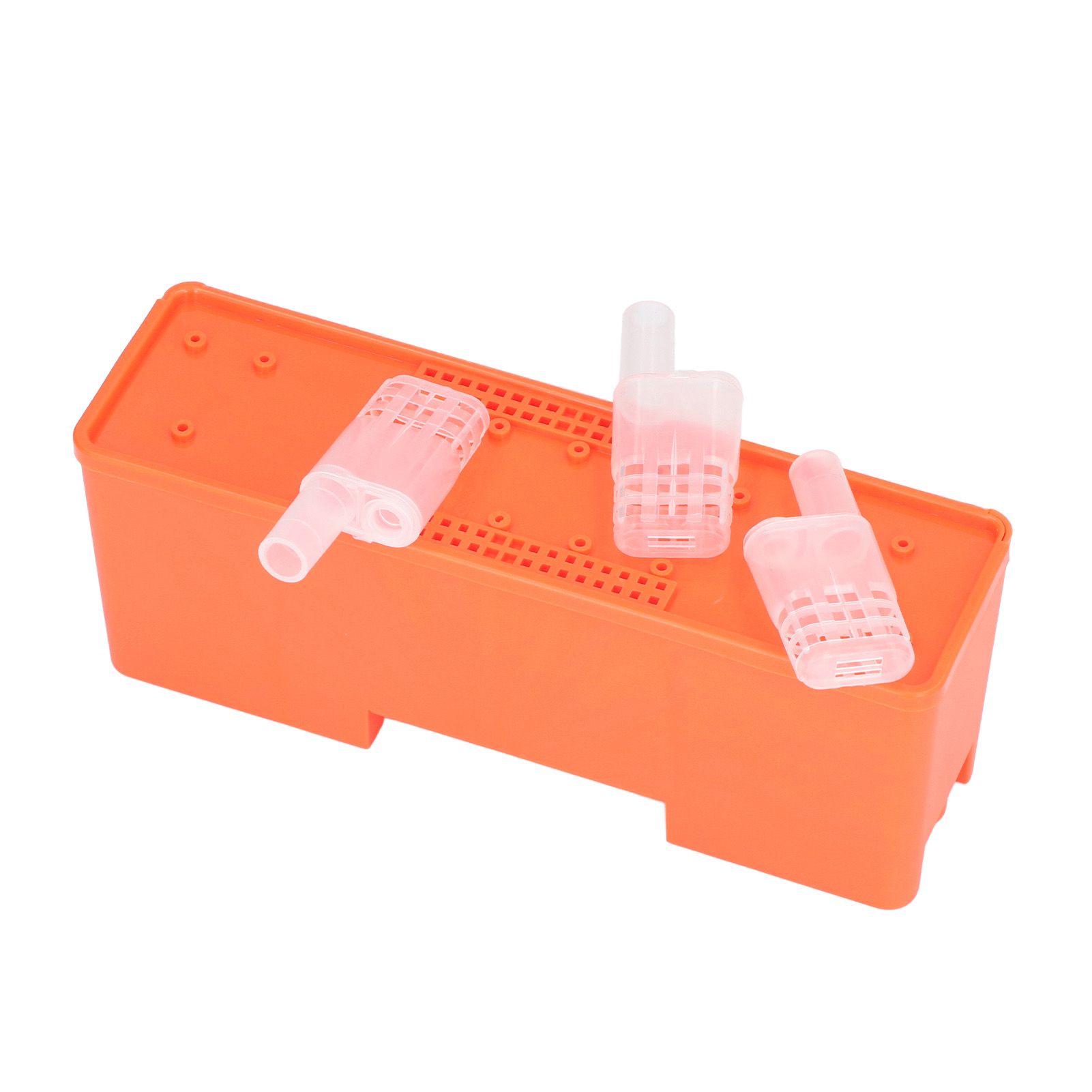 King Cage Transport Box with 20Pcs Queen Bee Rearing Cages Transparent King Cage Beekeeping Tools - Image 4