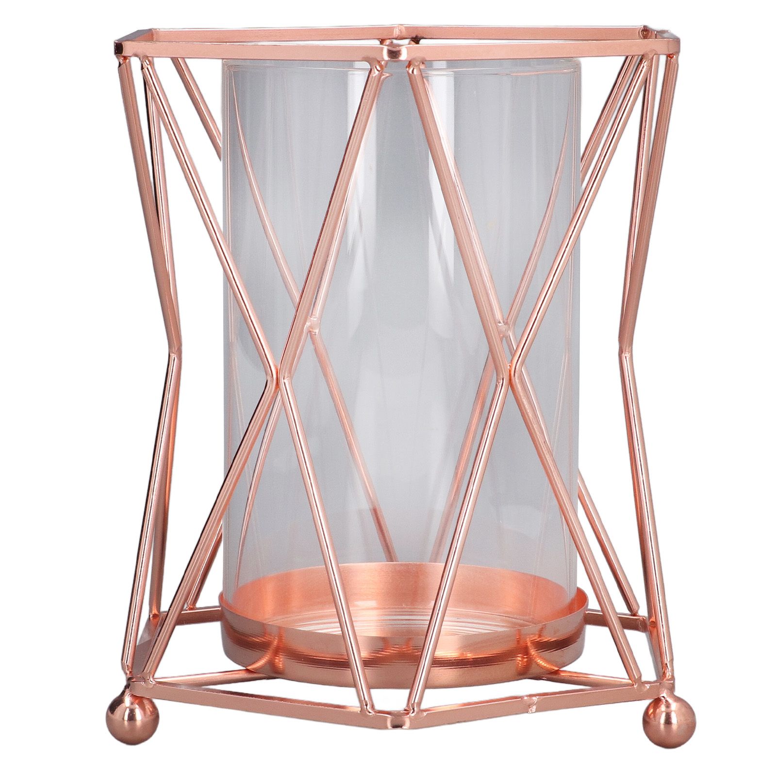 Plant Vase with Wrought Iron Flower Stand Transparent Glass Flower Pot Hydroponic Vase for Living Room - Image 1
