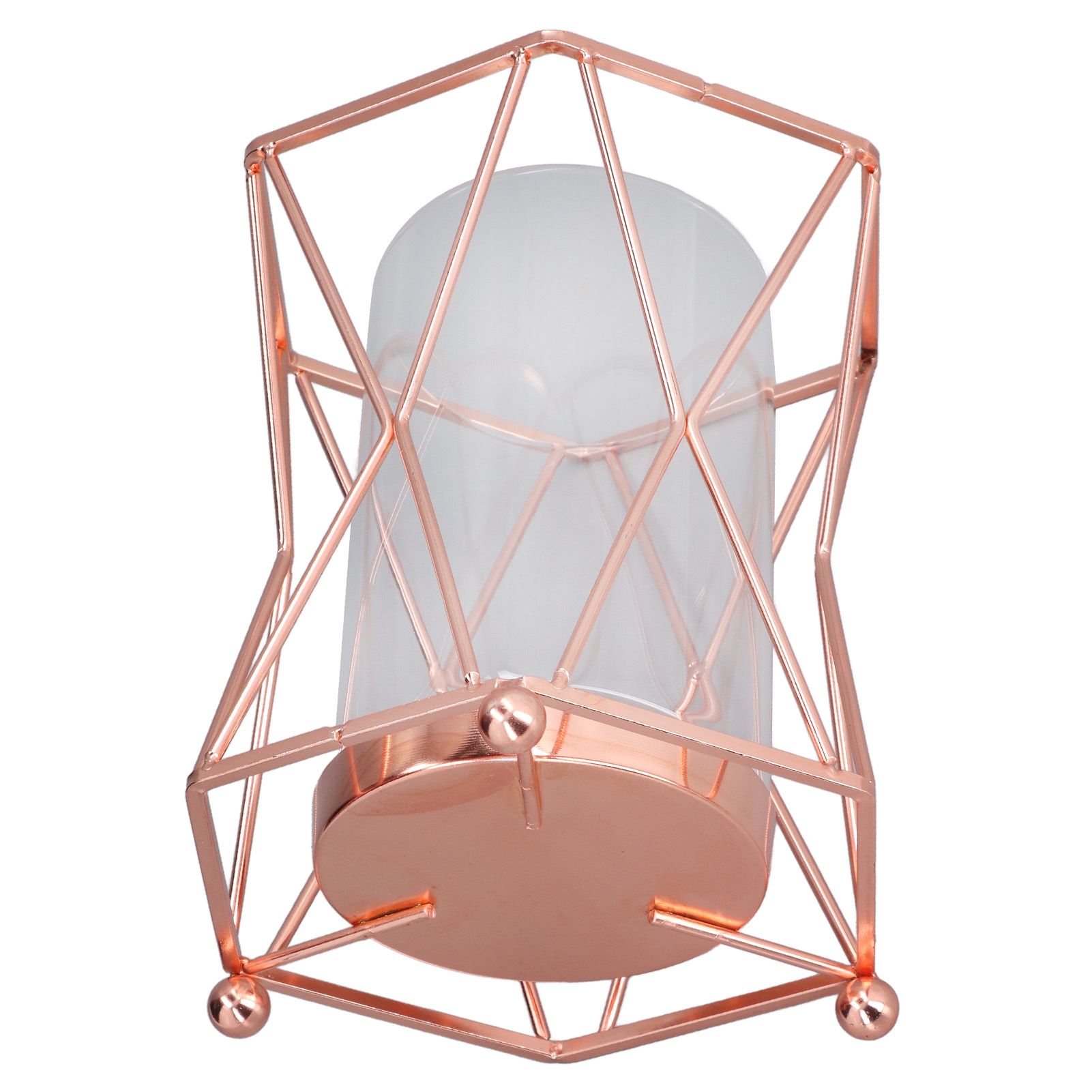 Plant Vase with Wrought Iron Flower Stand Transparent Glass Flower Pot Hydroponic Vase for Living Room - Image 5