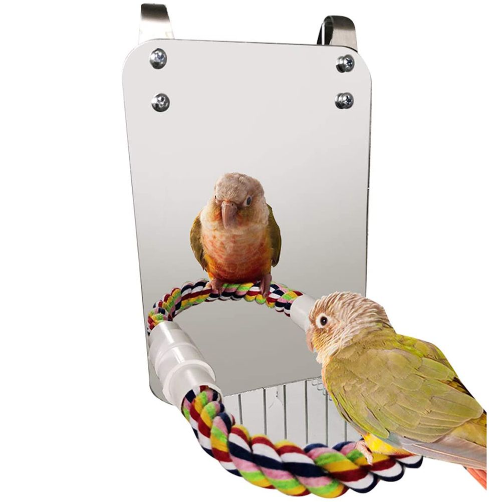 Bird Mirror Toy with Rope Mirror Perch Parrot Bite Toy Parrot Claw Perches Bird Cage Chew Toy - Image 2