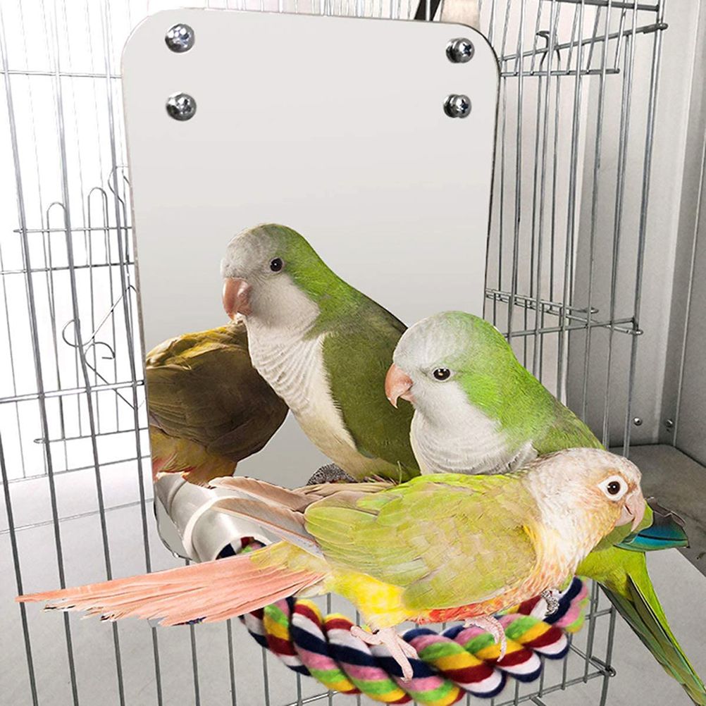 Bird Mirror Toy with Rope Mirror Perch Parrot Bite Toy Parrot Claw Perches Bird Cage Chew Toy - Image 5