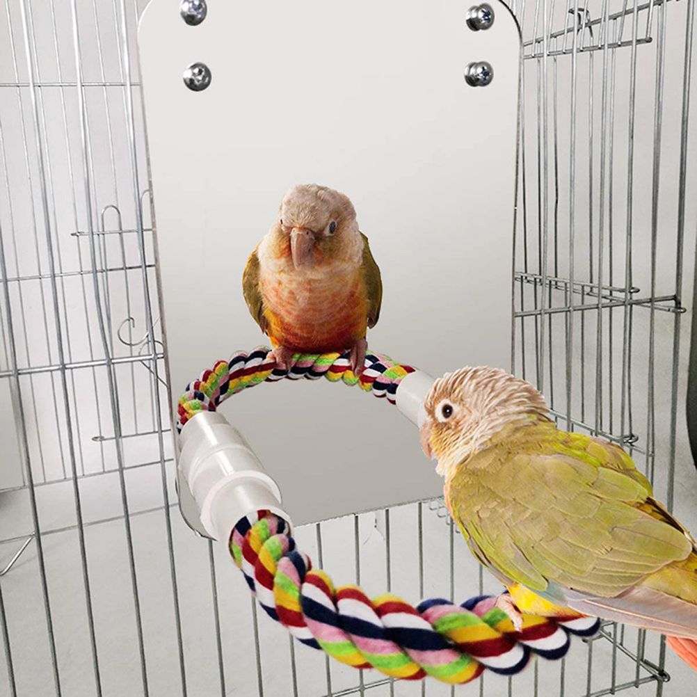 Bird Mirror Toy with Rope Mirror Perch Parrot Bite Toy Parrot Claw Perches Bird Cage Chew Toy - Image 7