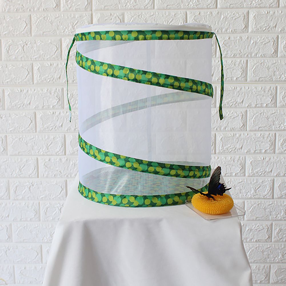 Net Insect Butterfly Habitat Cage Collapsible Insect Housing Enclosure Breeding Cages - Image 4