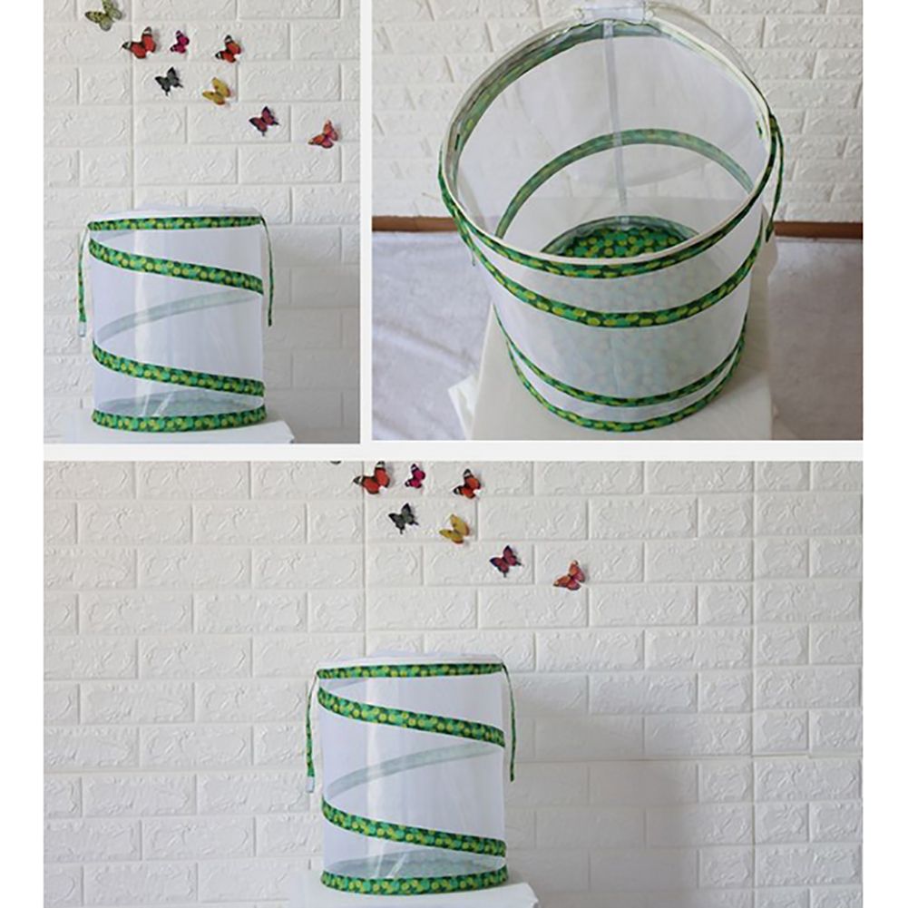 Net Insect Butterfly Habitat Cage Collapsible Insect Housing Enclosure Breeding Cages - Image 5