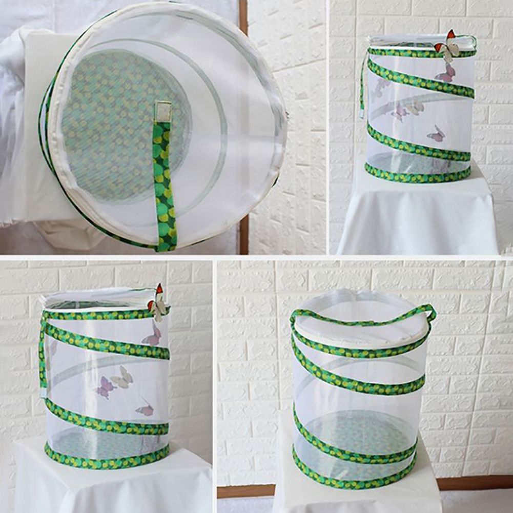 Net Insect Butterfly Habitat Cage Collapsible Insect Housing Enclosure Breeding Cages - Image 6
