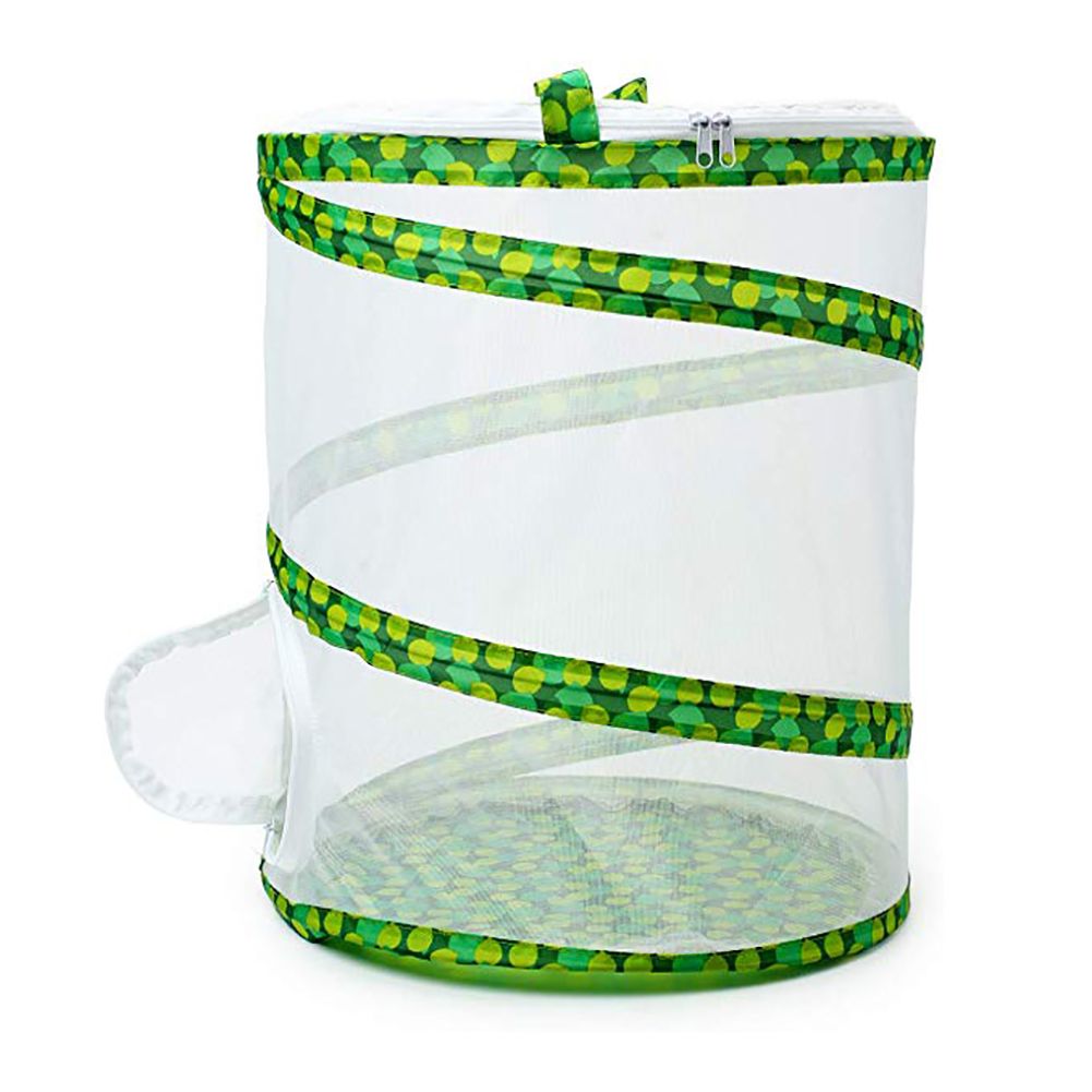 Net Insect Butterfly Habitat Cage Collapsible Insect Housing Enclosure Breeding Cages - Image 7