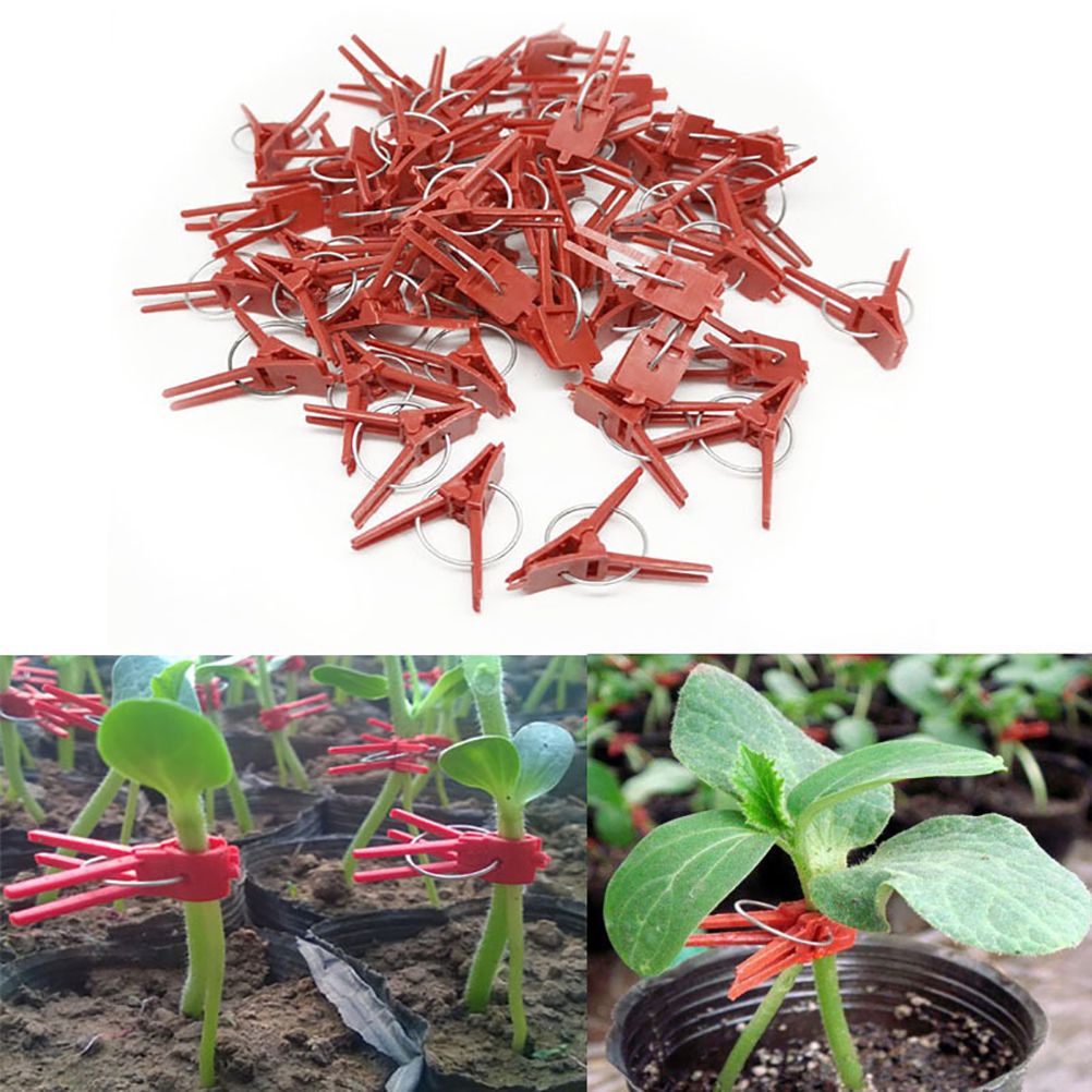 100PCS Plants Graft Clips Plastic Grafting Clips Practical Garden Plant Clips - Image 1