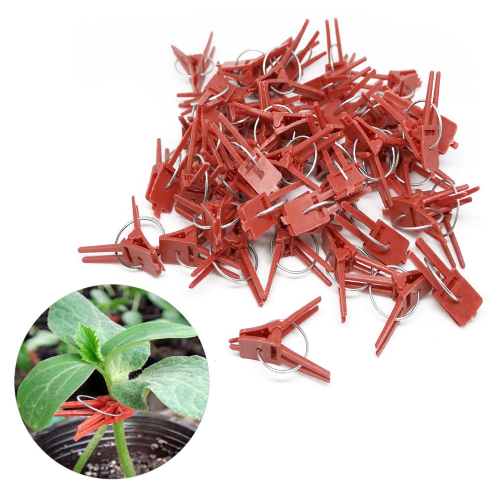 100PCS Plants Graft Clips Plastic Grafting Clips Practical Garden Plant Clips - Image 4