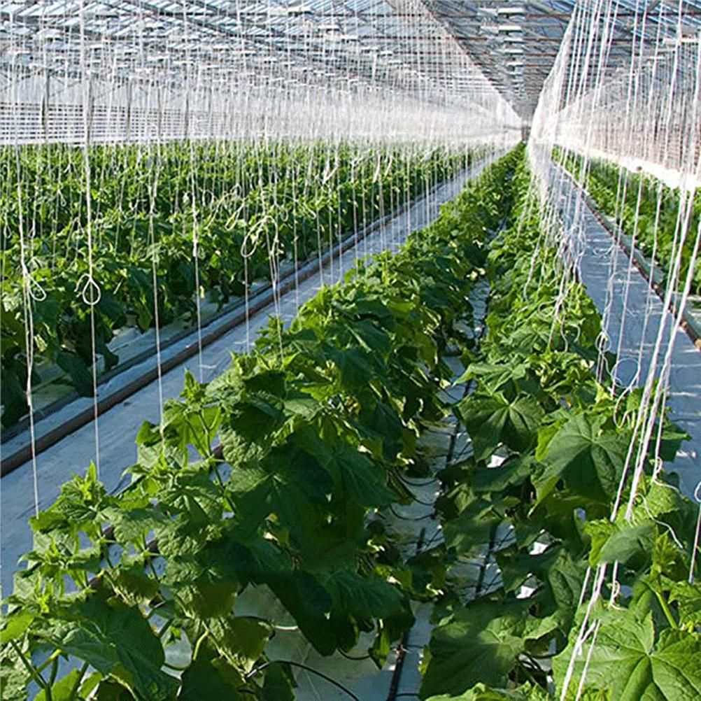 10Pcs Tomato Trellis Roller Hooks Tomato Support Hooks Plant Roller Hook with 15M String Plant Cages Supports Roller Hook for Plant Fruit - Image 5