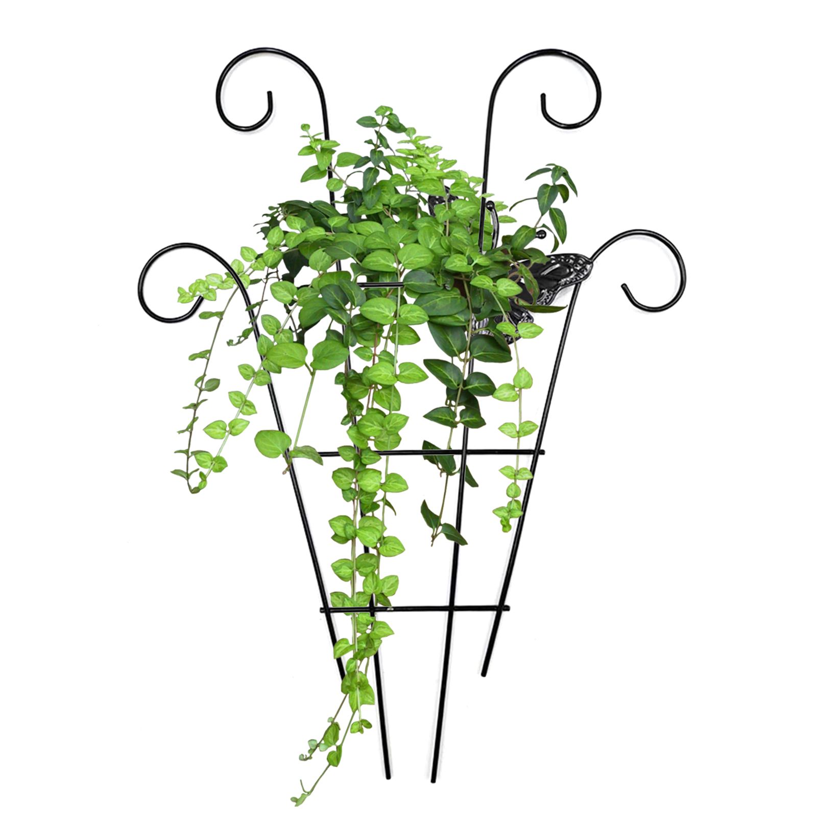 Stainless Steel Garden Trellis for Climbing Plants Vine Plant Support Trellis for Vines - Image 2