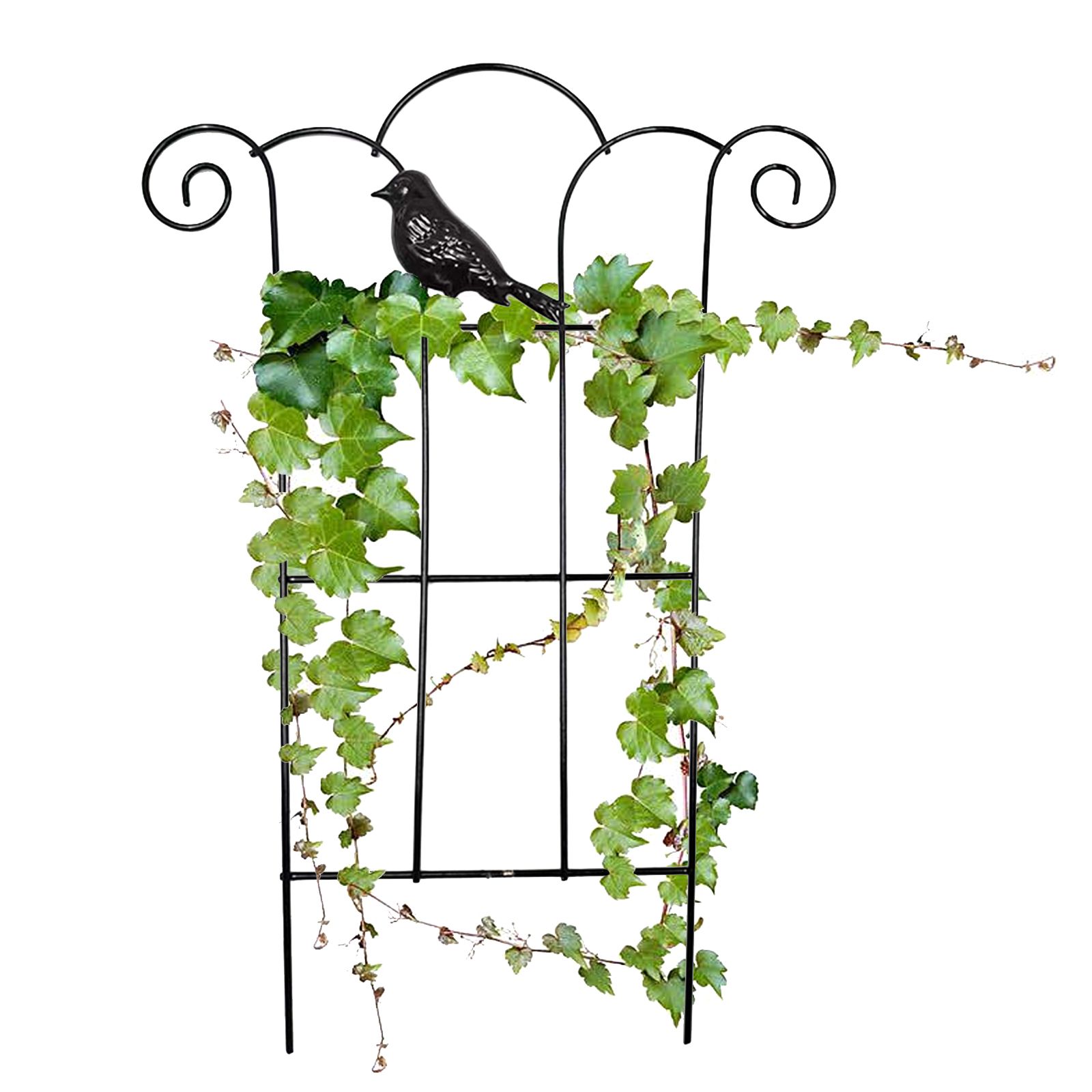 Stainless Steel Garden Trellis for Climbing Plants Vine Plant Support Trellis for Vines - Image 2