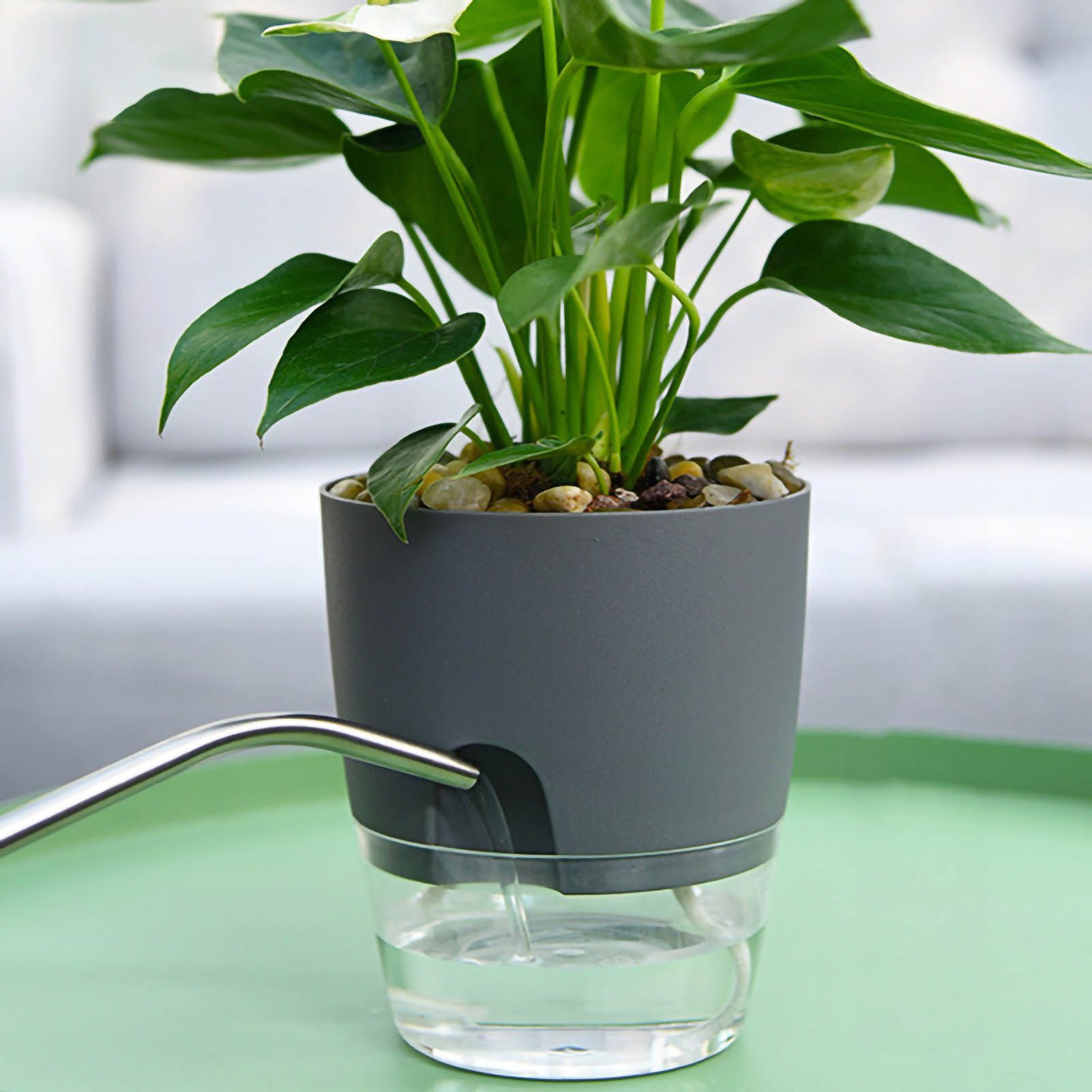 Self Watering Planter Cotton Rope Plastic Decorative Planting Pot for Indoor Outdoor Plants Flowers Herbs Grey 15.3cm/6in Diameter - Image 5