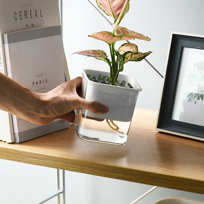 Water Absorption Planter Indoor Self Absorbed Watering Pot Flower Container for Office Home Semitransparent - Image 5