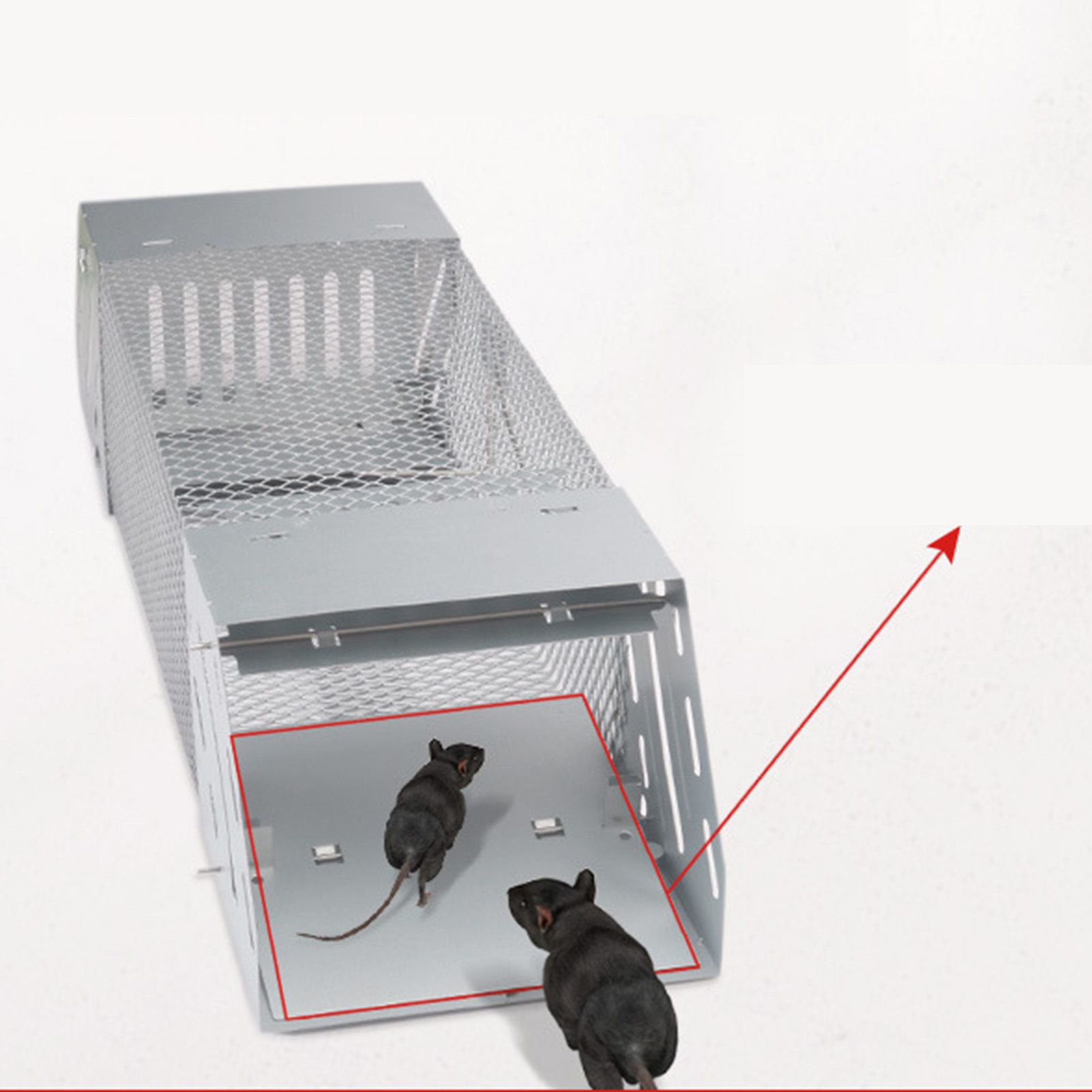 Mice Catch Cage Stainless Steel Full Automatic Dual Door Design Sensitive Mousetrap Cage for Indoor - Image 2