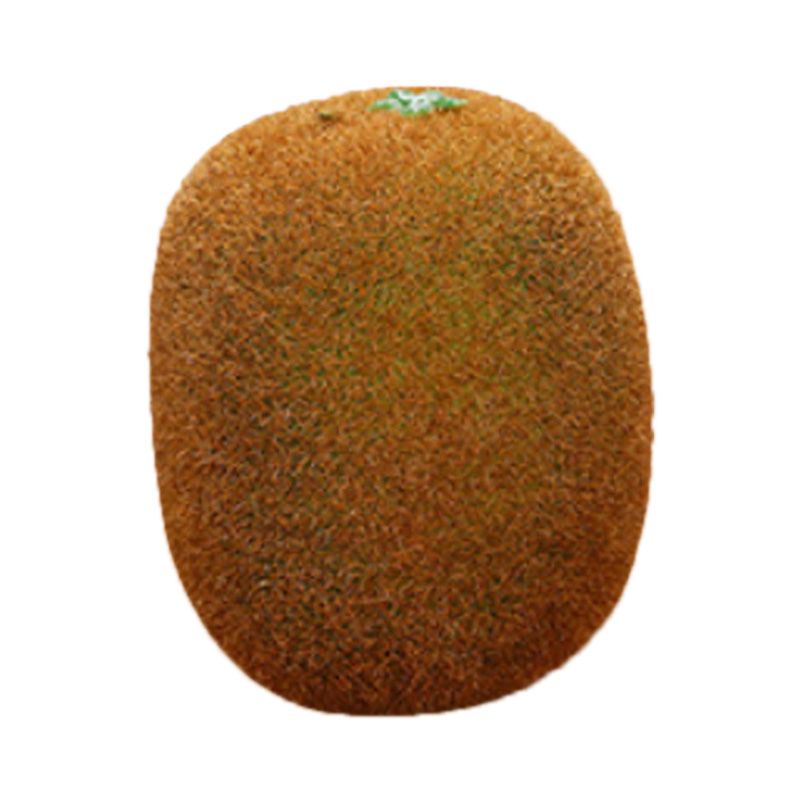 Artificial Fruit Simulation Model Foam Fake Fruit Kindergarten Teaching Aids Decorative Props Kiwi Fruit - Image 1