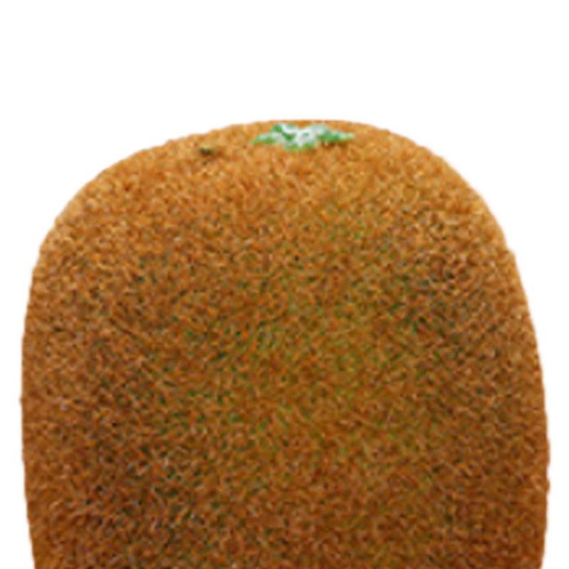 Artificial Fruit Simulation Model Foam Fake Fruit Kindergarten Teaching Aids Decorative Props Kiwi Fruit - Image 2