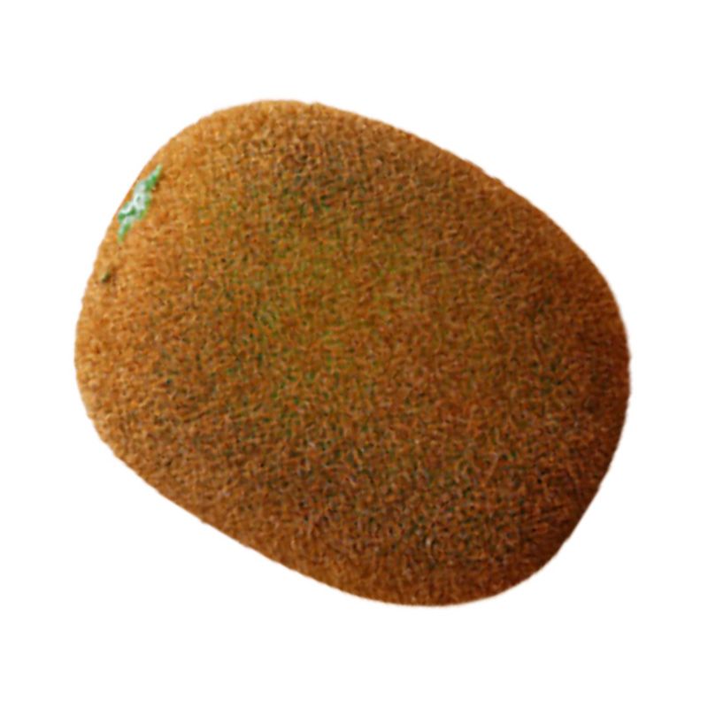 Artificial Fruit Simulation Model Foam Fake Fruit Kindergarten Teaching Aids Decorative Props Kiwi Fruit - Image 4