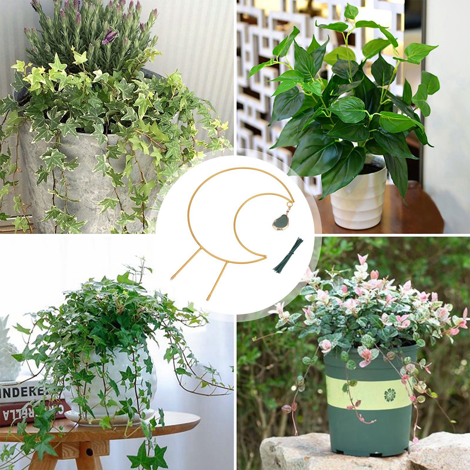 Plant Climbing Frame Climbing Vine Iron Flower Frame Moon Bracket Plant Trellis - Image 8