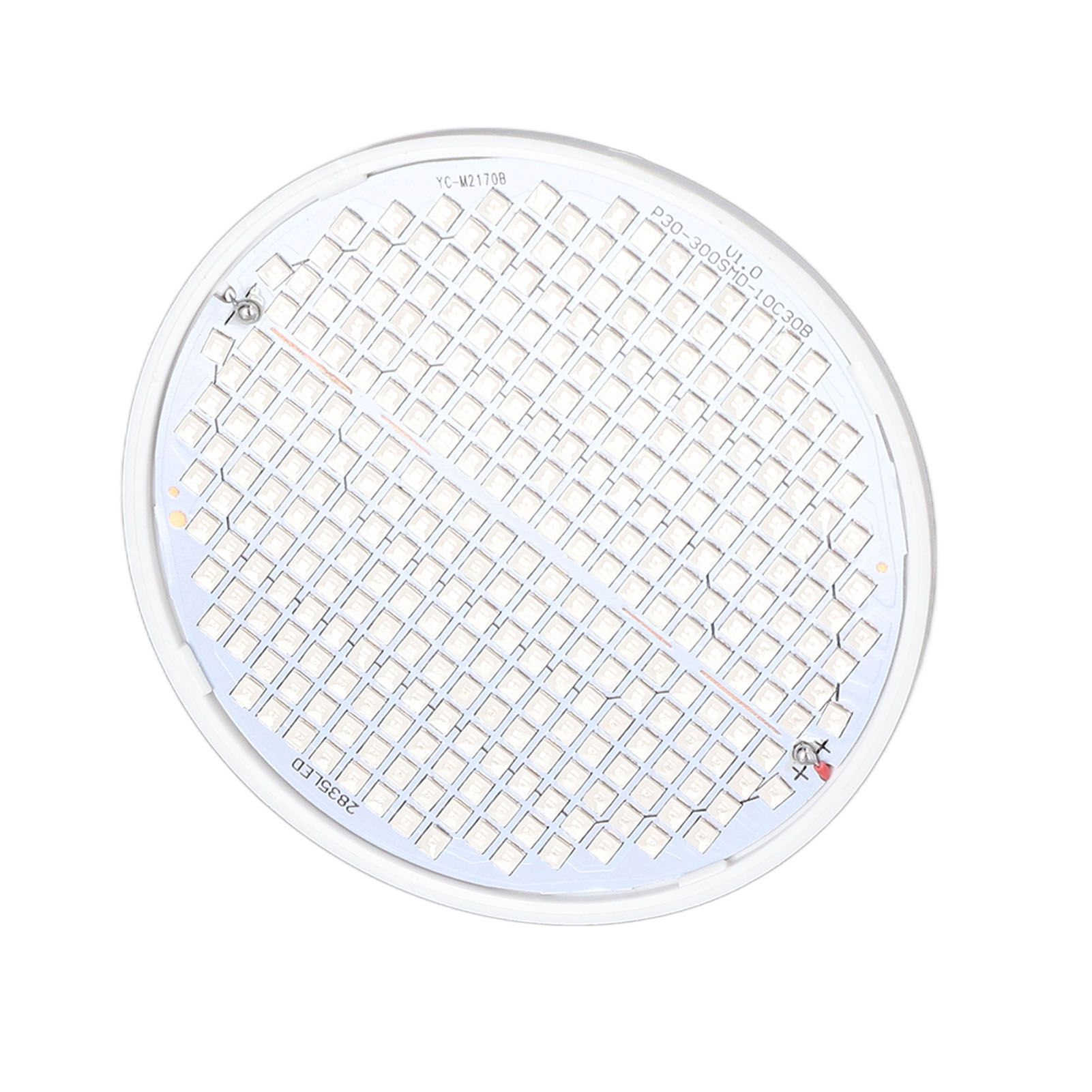 Plant Light E27 Bulb Red Blue Light E27 LED Grow Bulb for Indoor Seedlings 85‑265V E27 300 - Image 7