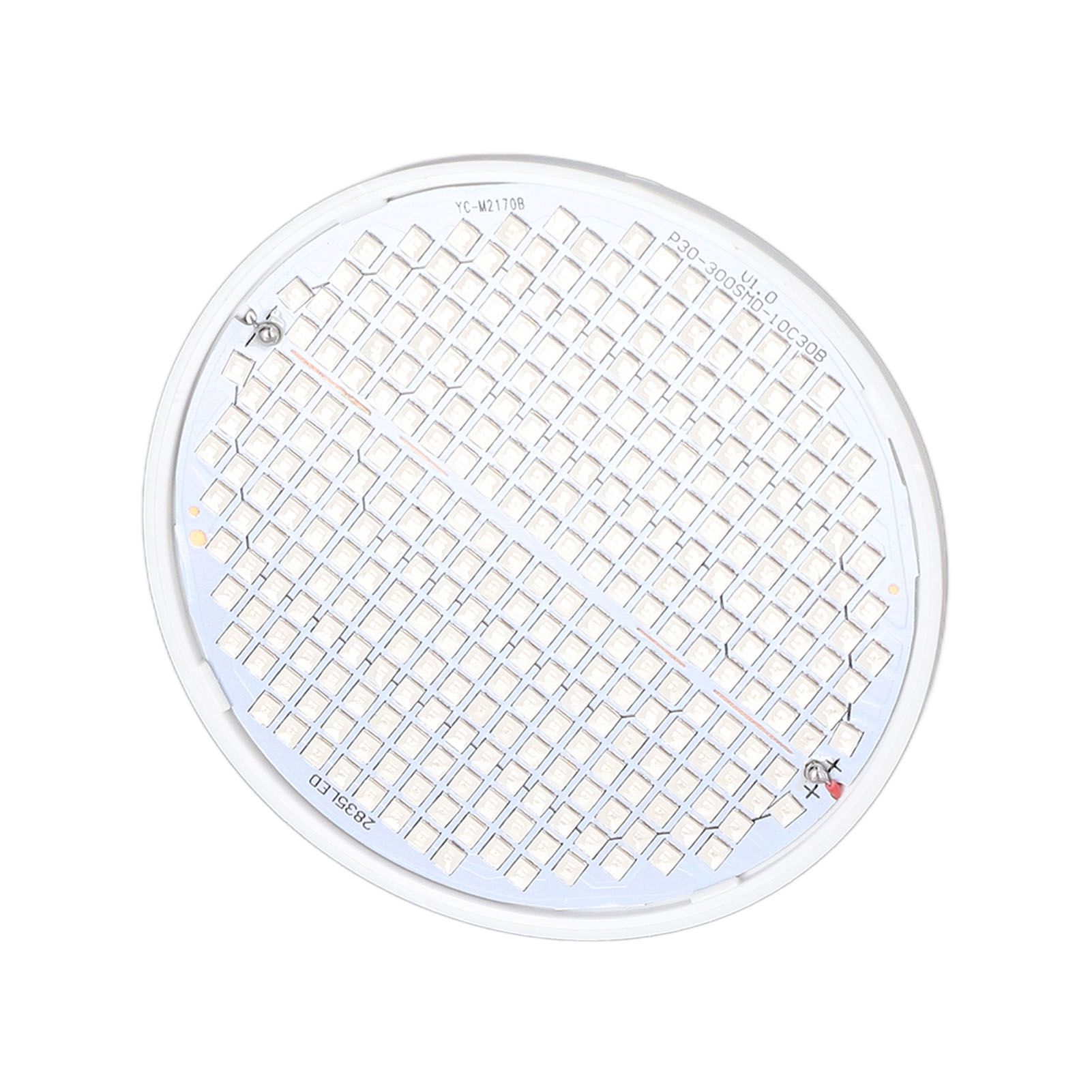 Plant Light E27 Bulb Red Blue Light E27 LED Grow Bulb for Indoor Seedlings 85‑265V E27 300 - Image 8