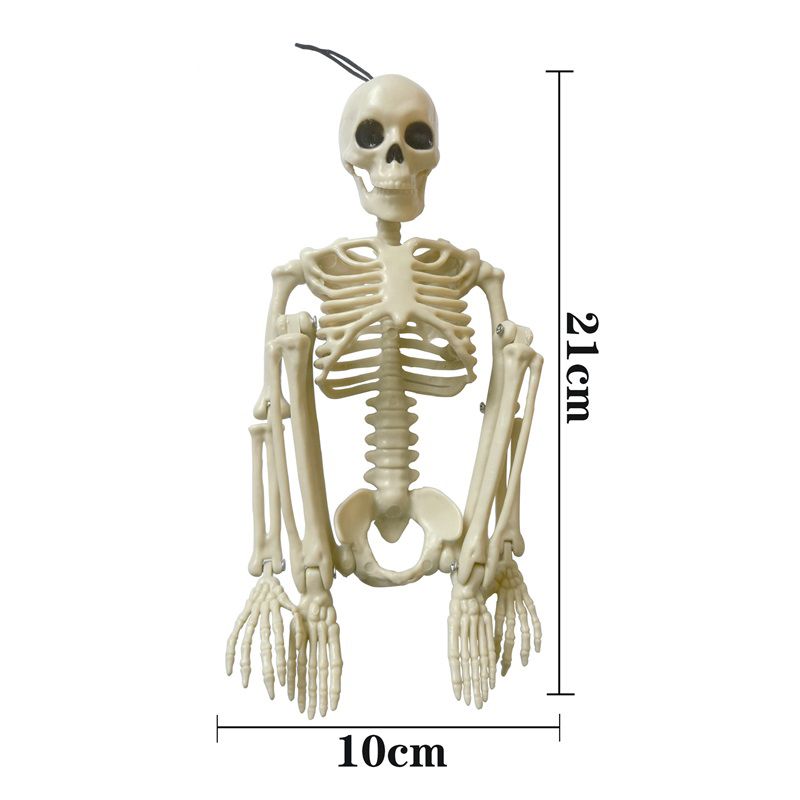 Halloween Skull Skeleton Decoration Simulated Human Plastic Bones Haunted House Decorative Skeleton Props Bride Bridegroom with Clothes - Image 2