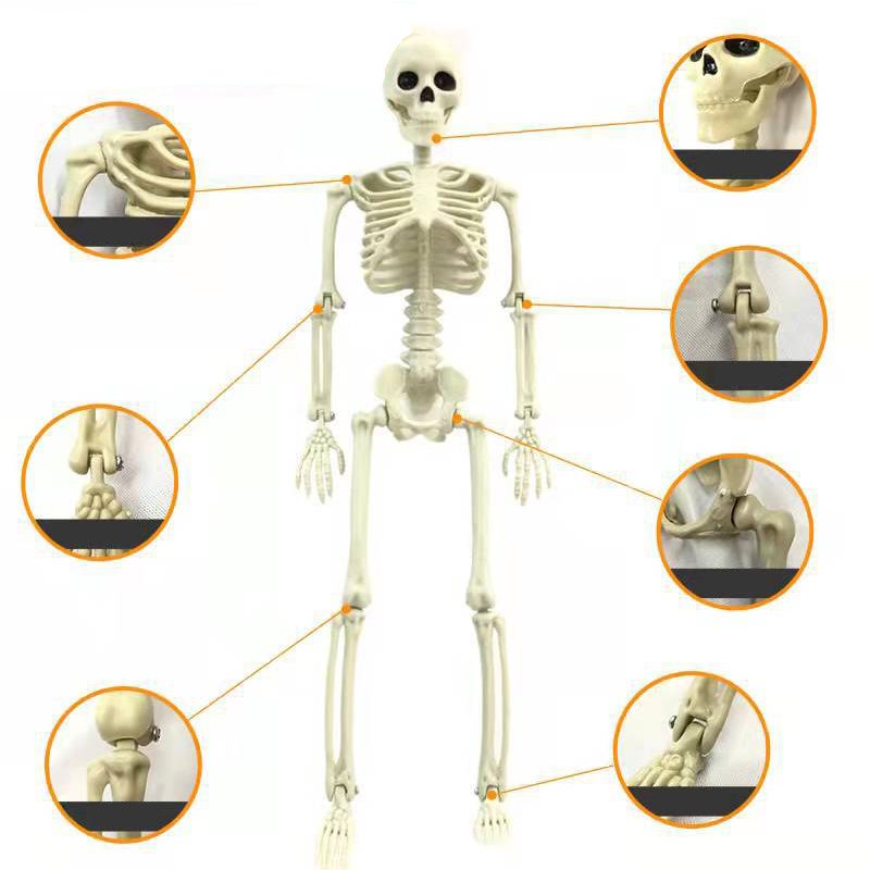 Halloween Skull Skeleton Decoration Simulated Human Plastic Bones Haunted House Decorative Skeleton Props Bride Bridegroom with Clothes - Image 5