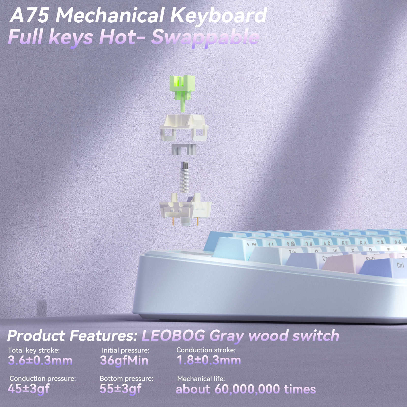 Solakaka A75 3-Mode RGB Mechanical Keyboard, Hot-Swappable Greywood V3 Switch,Blue‑Purple - Image 5